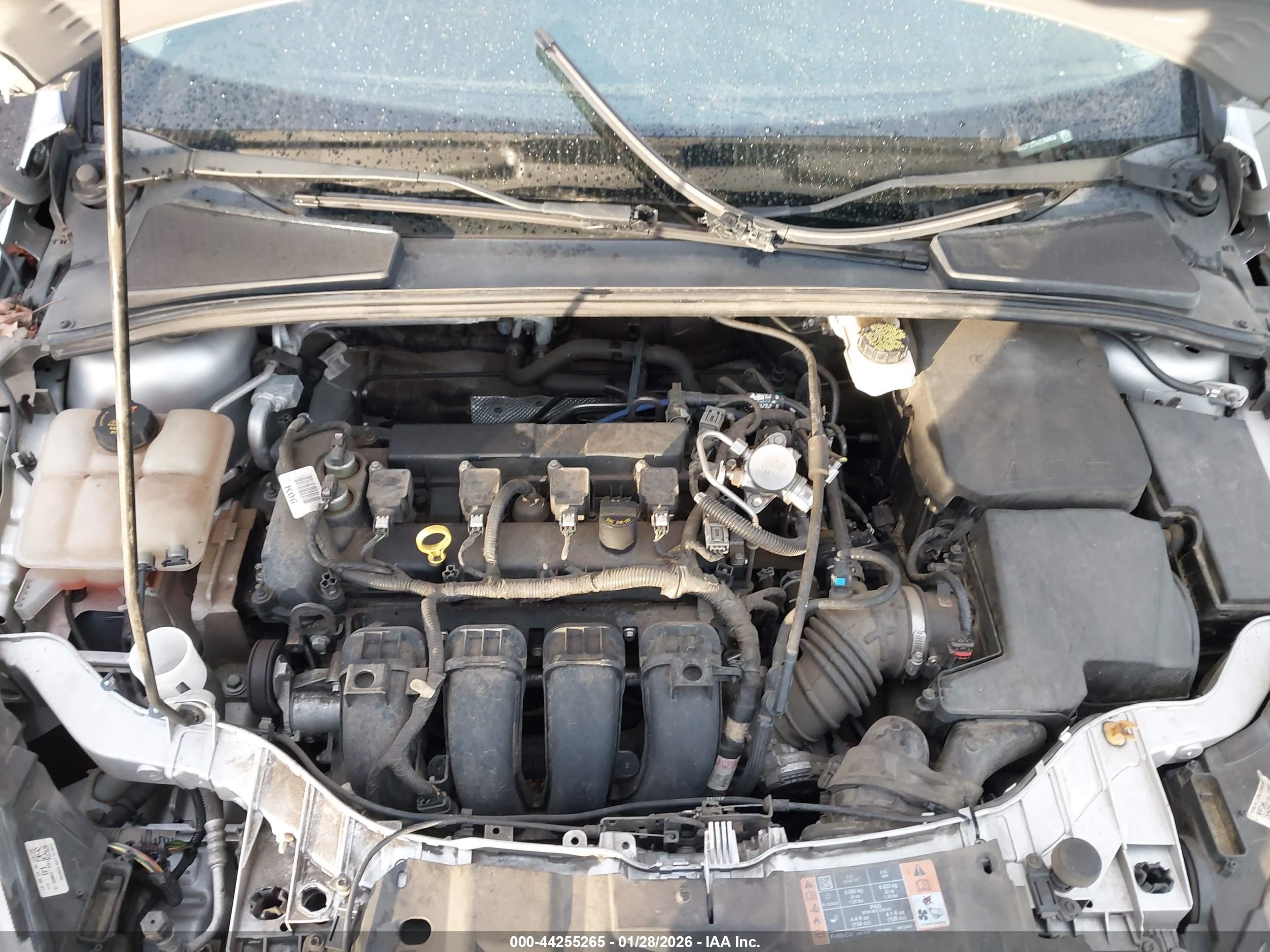 FORD FOCUS image 10