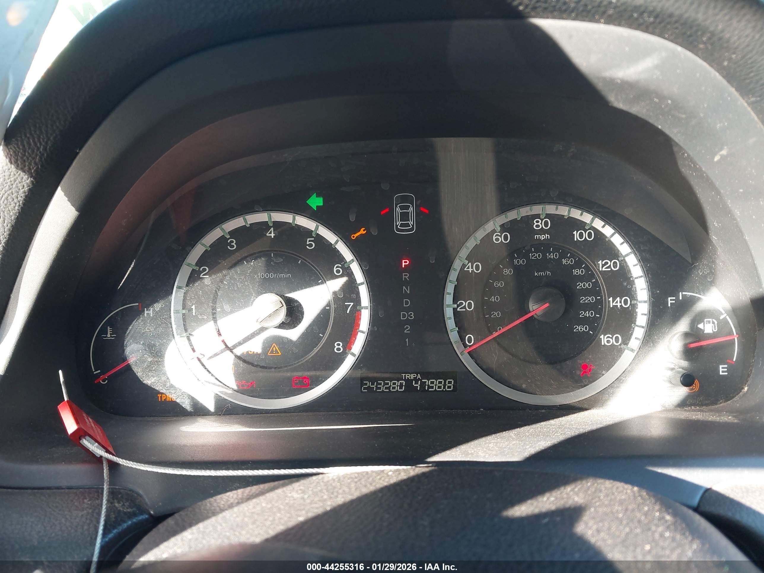 HONDA ACCORD image 7