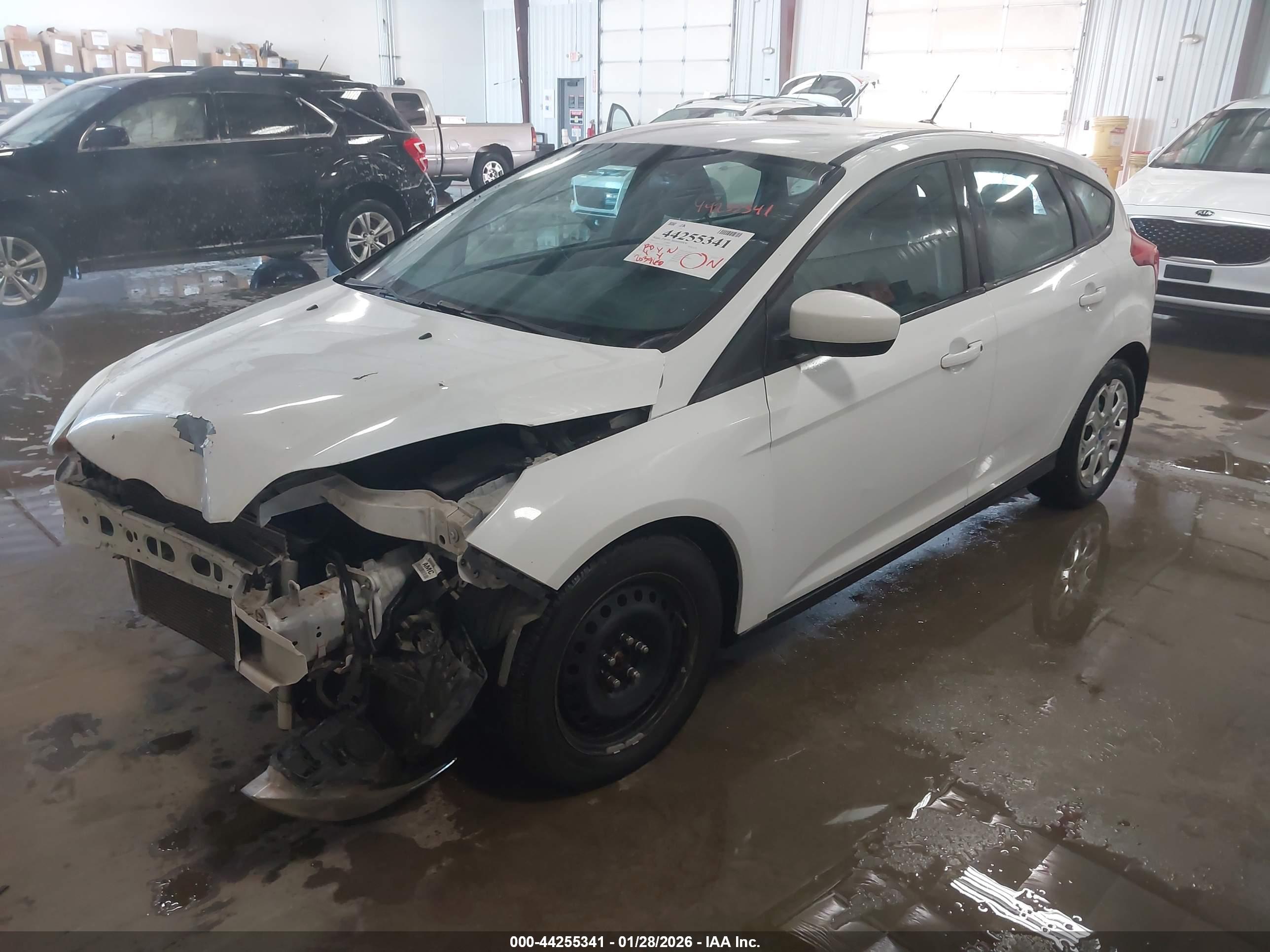 FORD FOCUS image 2