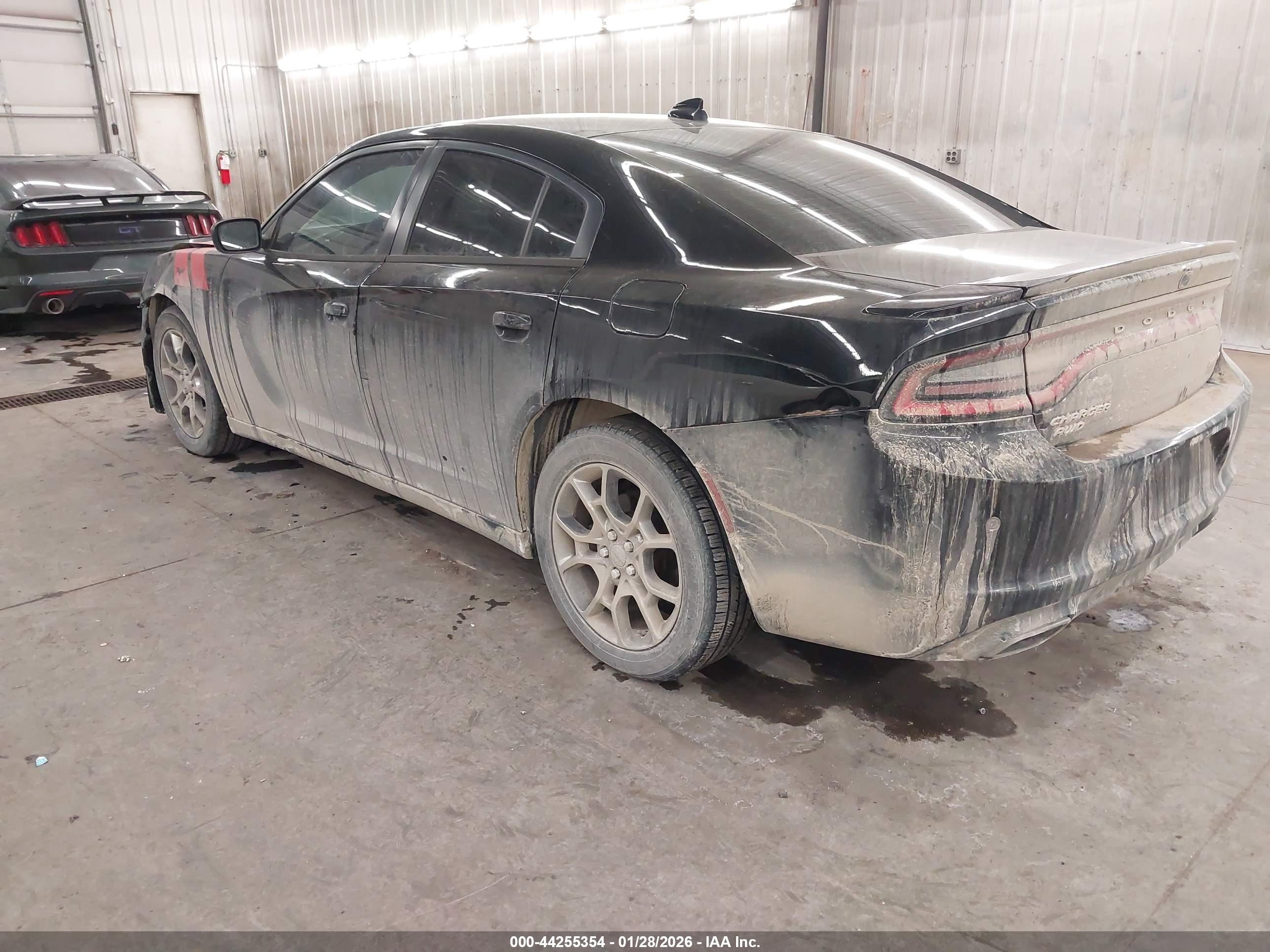 DODGE CHARGER image 3