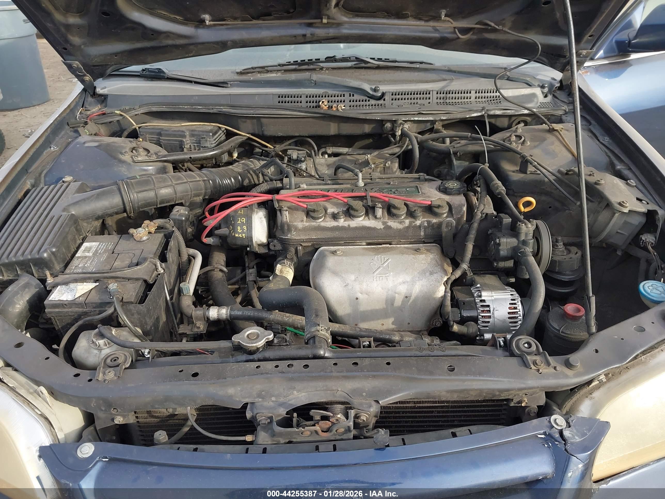 HONDA ACCORD image 10