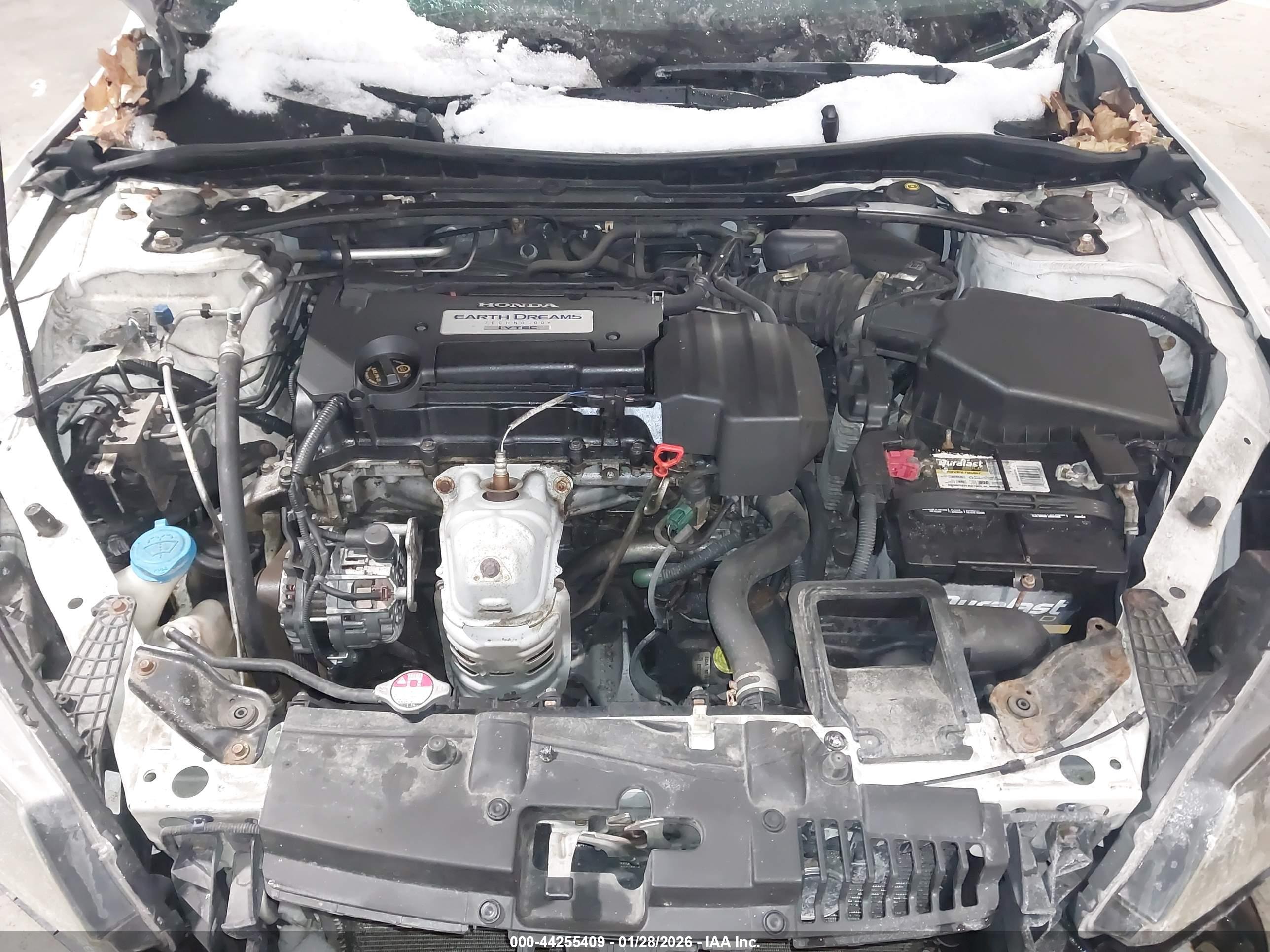 HONDA ACCORD image 10