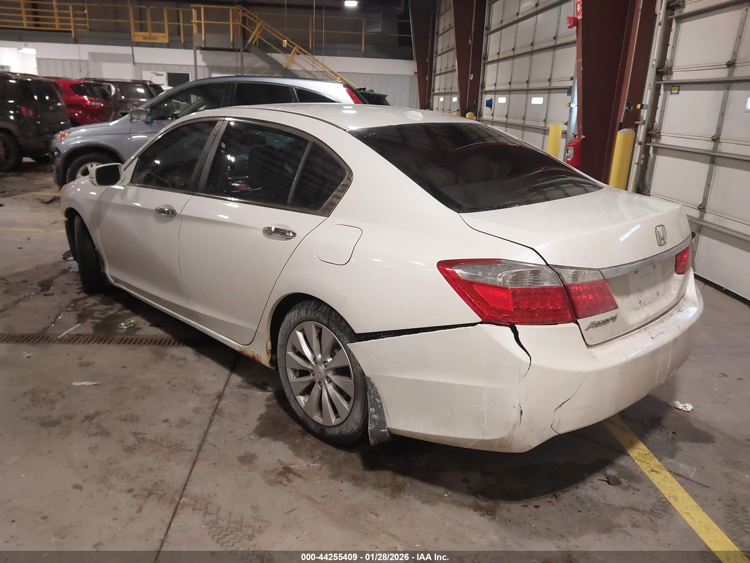 HONDA ACCORD image 3