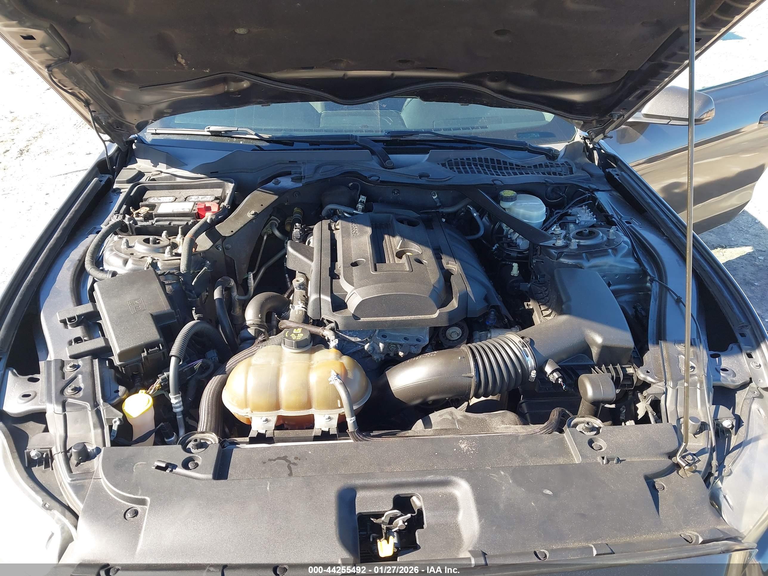FORD MUSTANG image 10