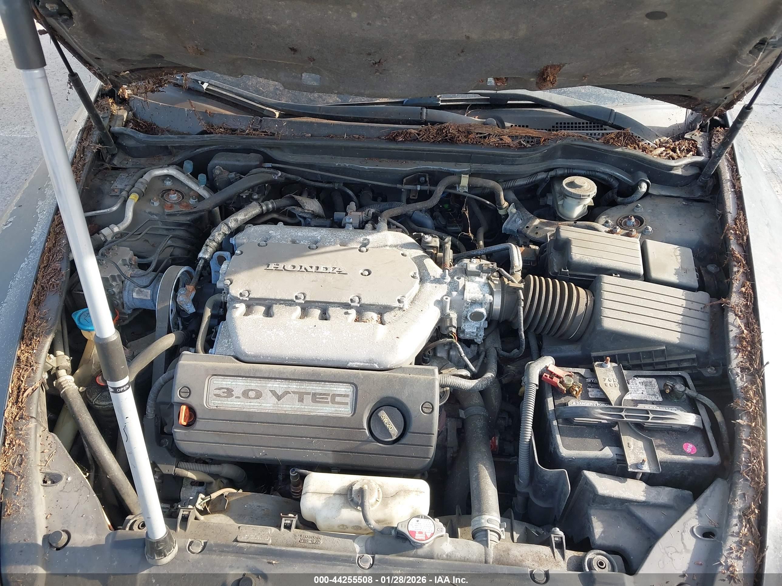 HONDA ACCORD image 10