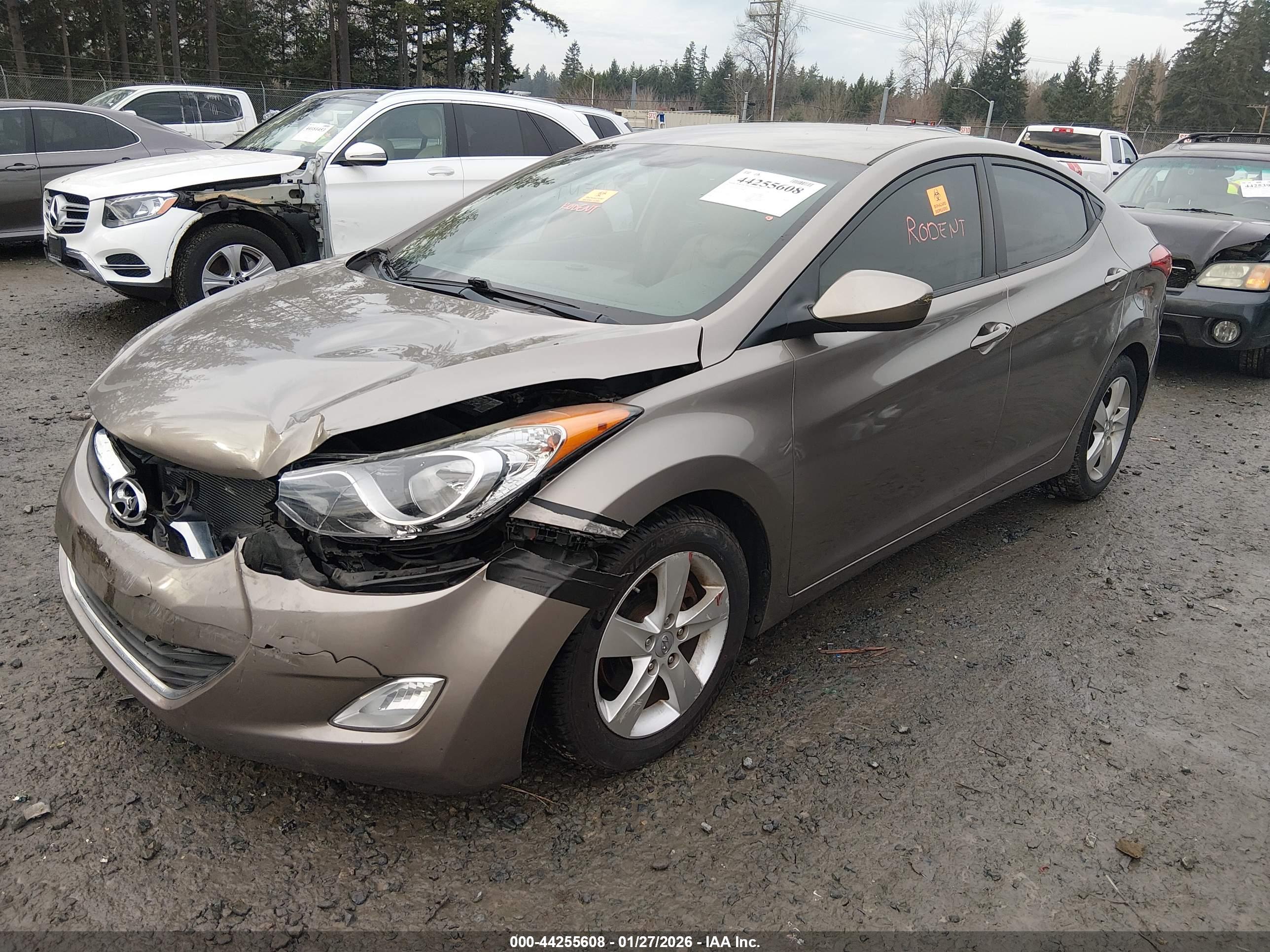 HYUNDAI ELANTRA image 2