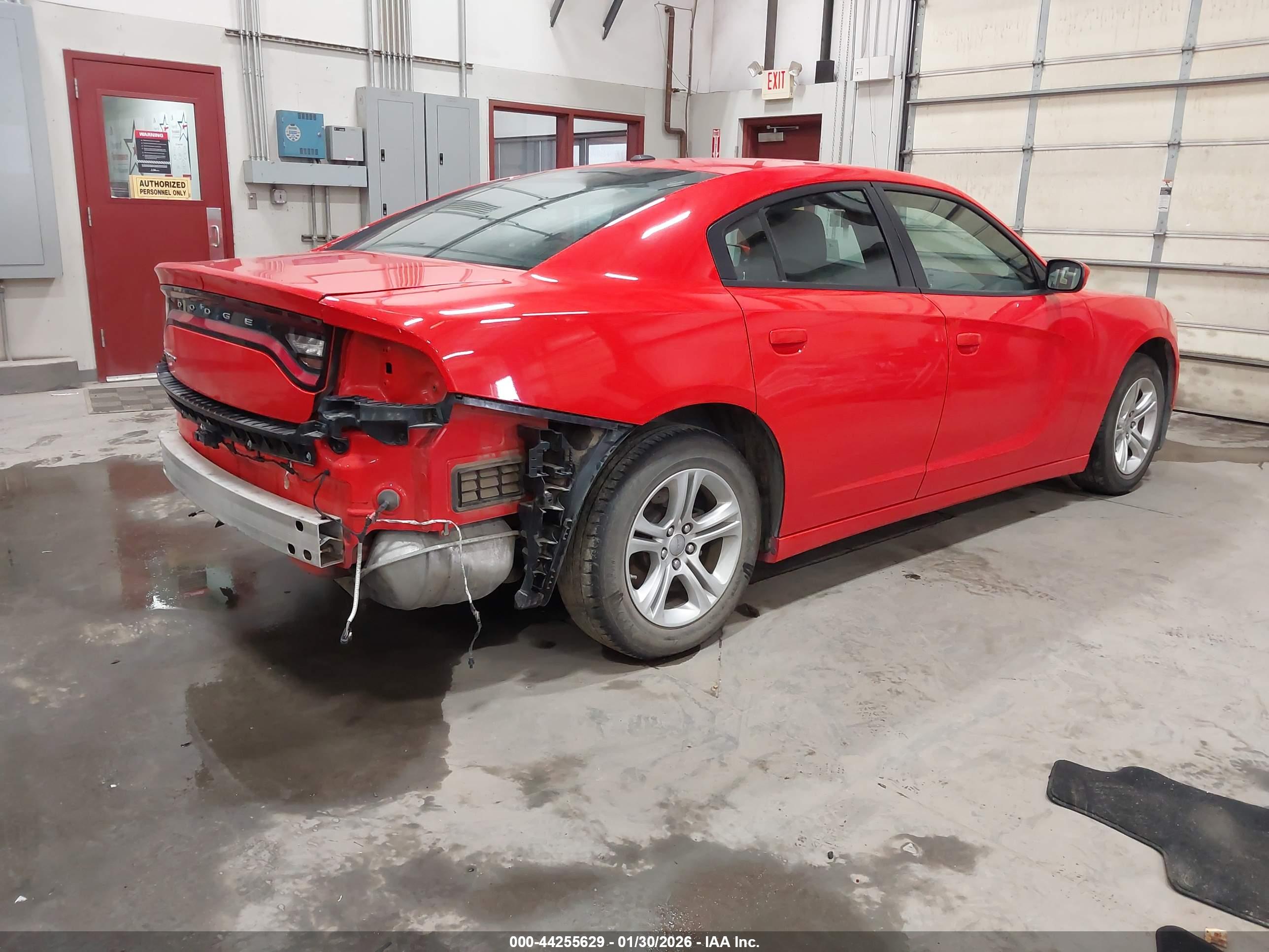 DODGE CHARGER image 4