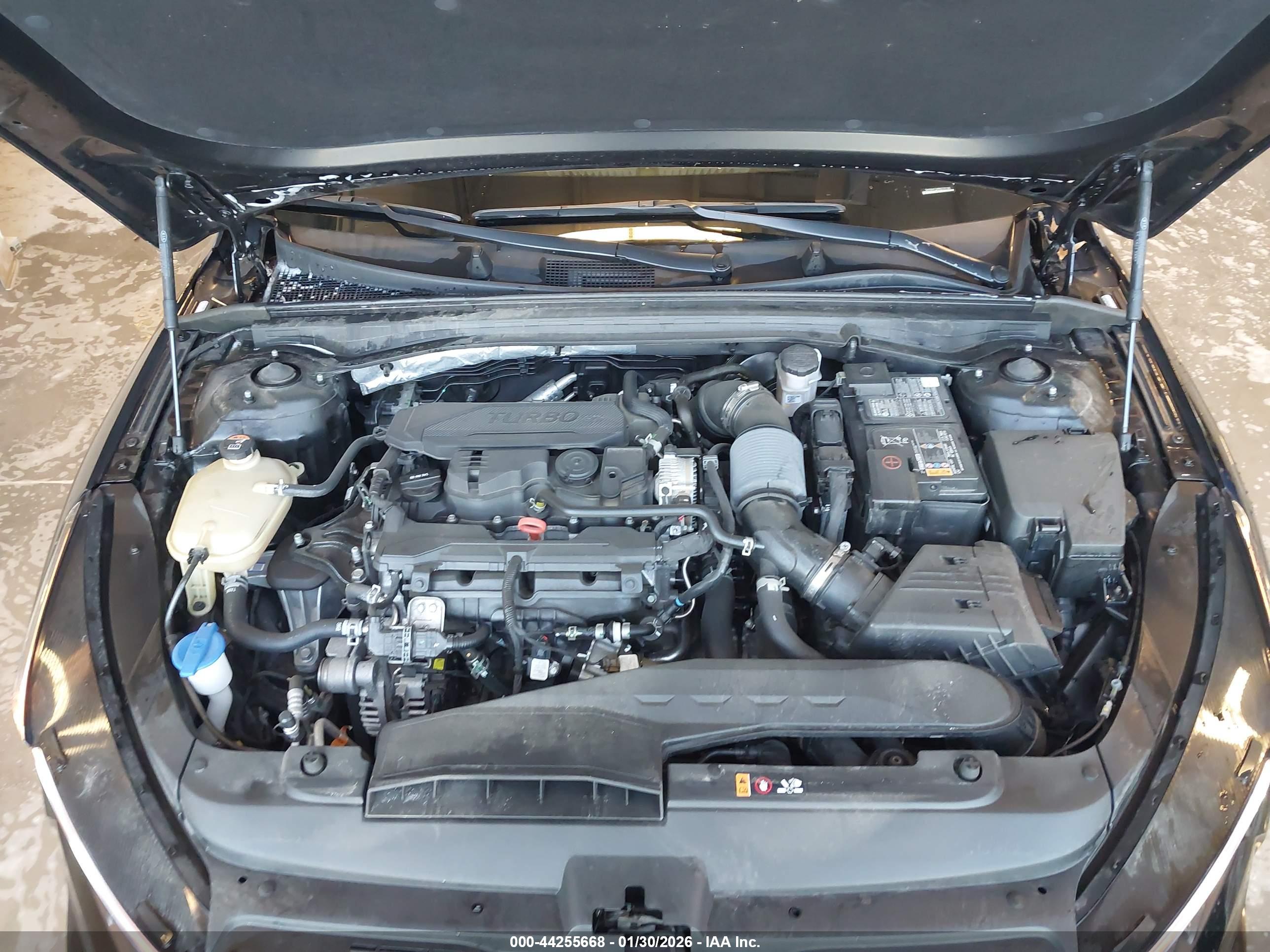 KIA K5 image 10