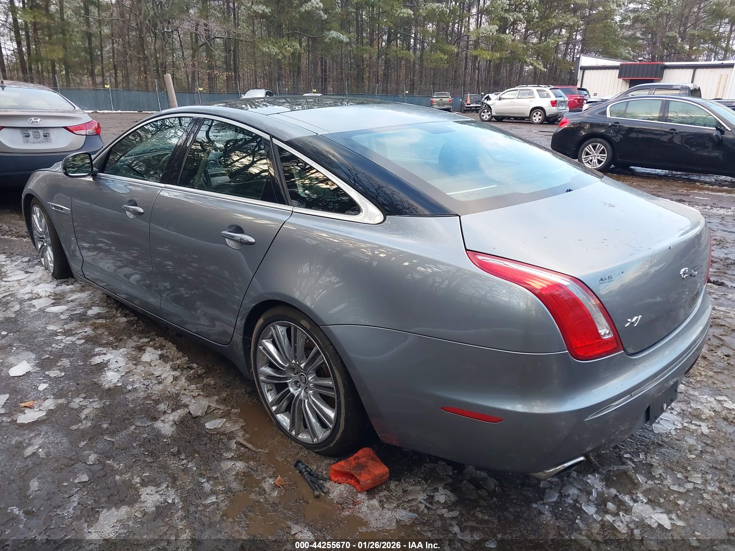 JAGUAR XJ image 3