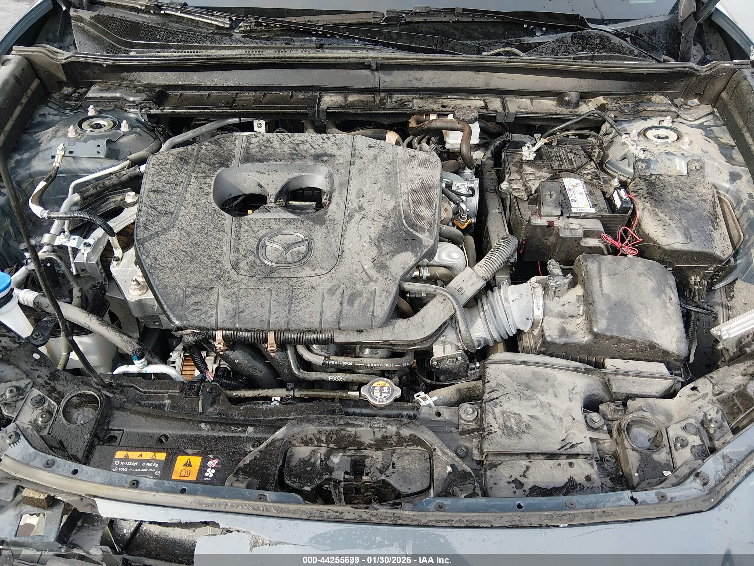 MAZDA CX-30 image 10