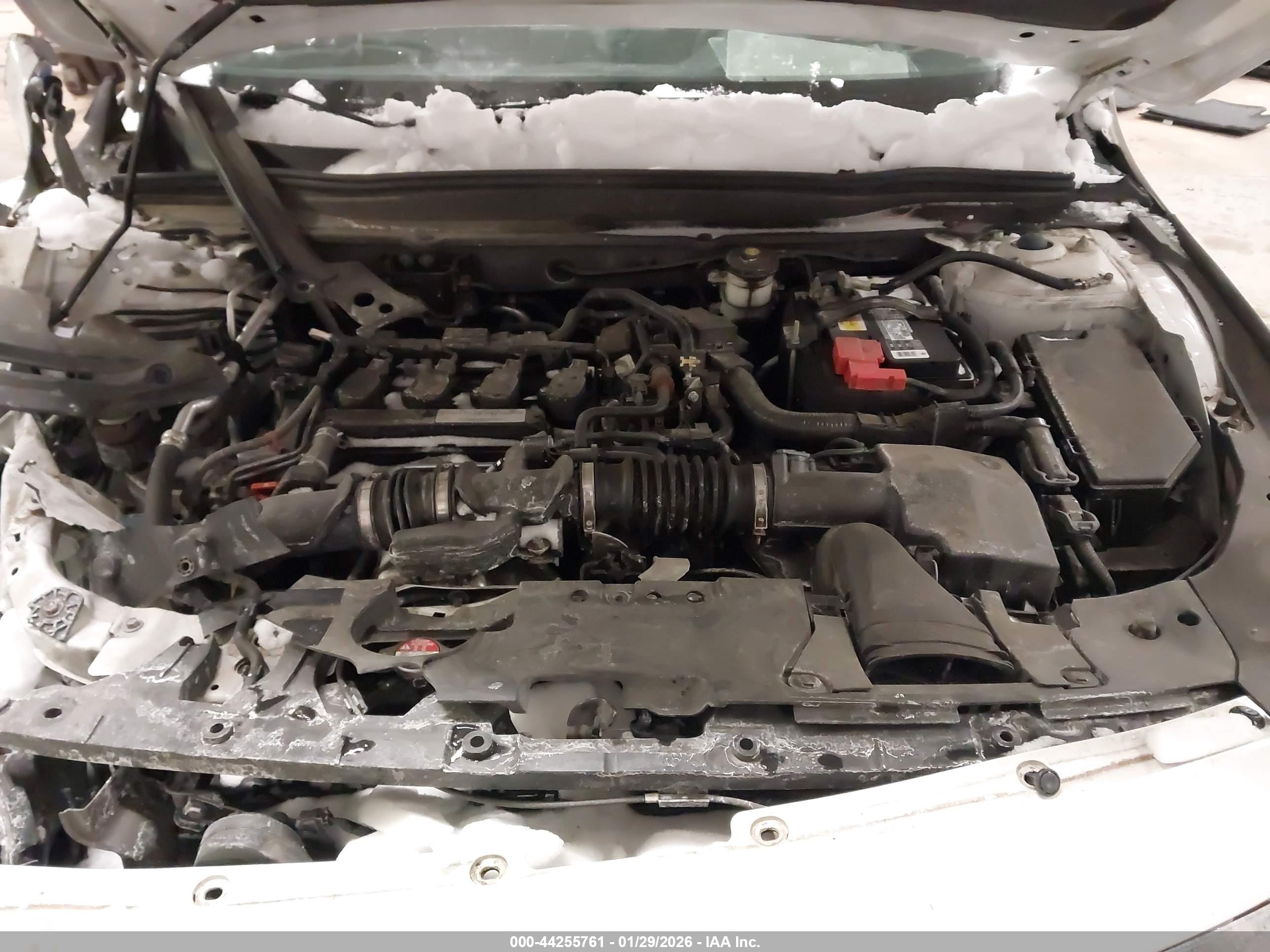 HONDA ACCORD image 10