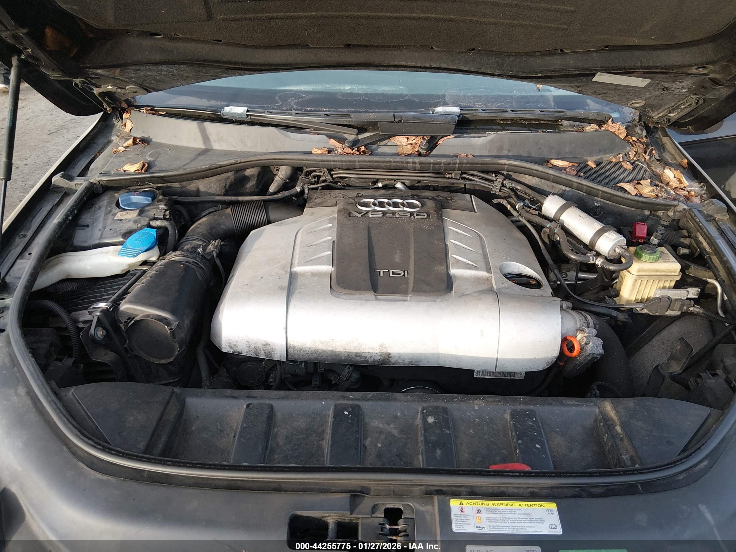 AUDI Q7 image 10