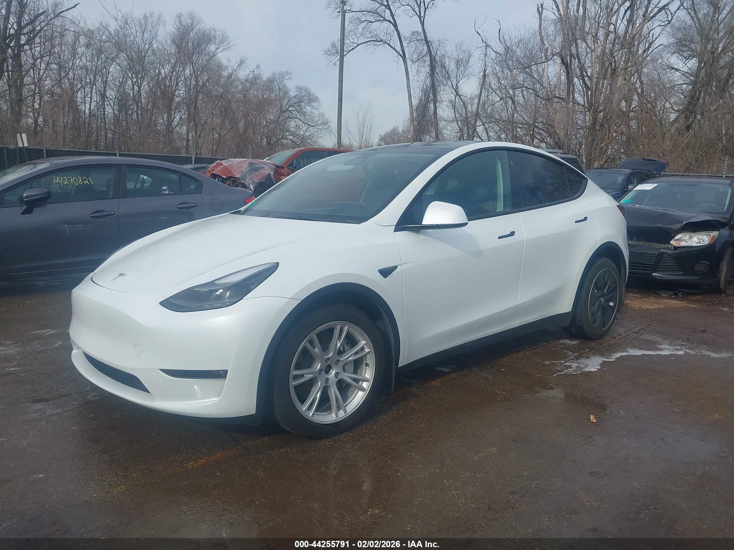TESLA MODEL image 2