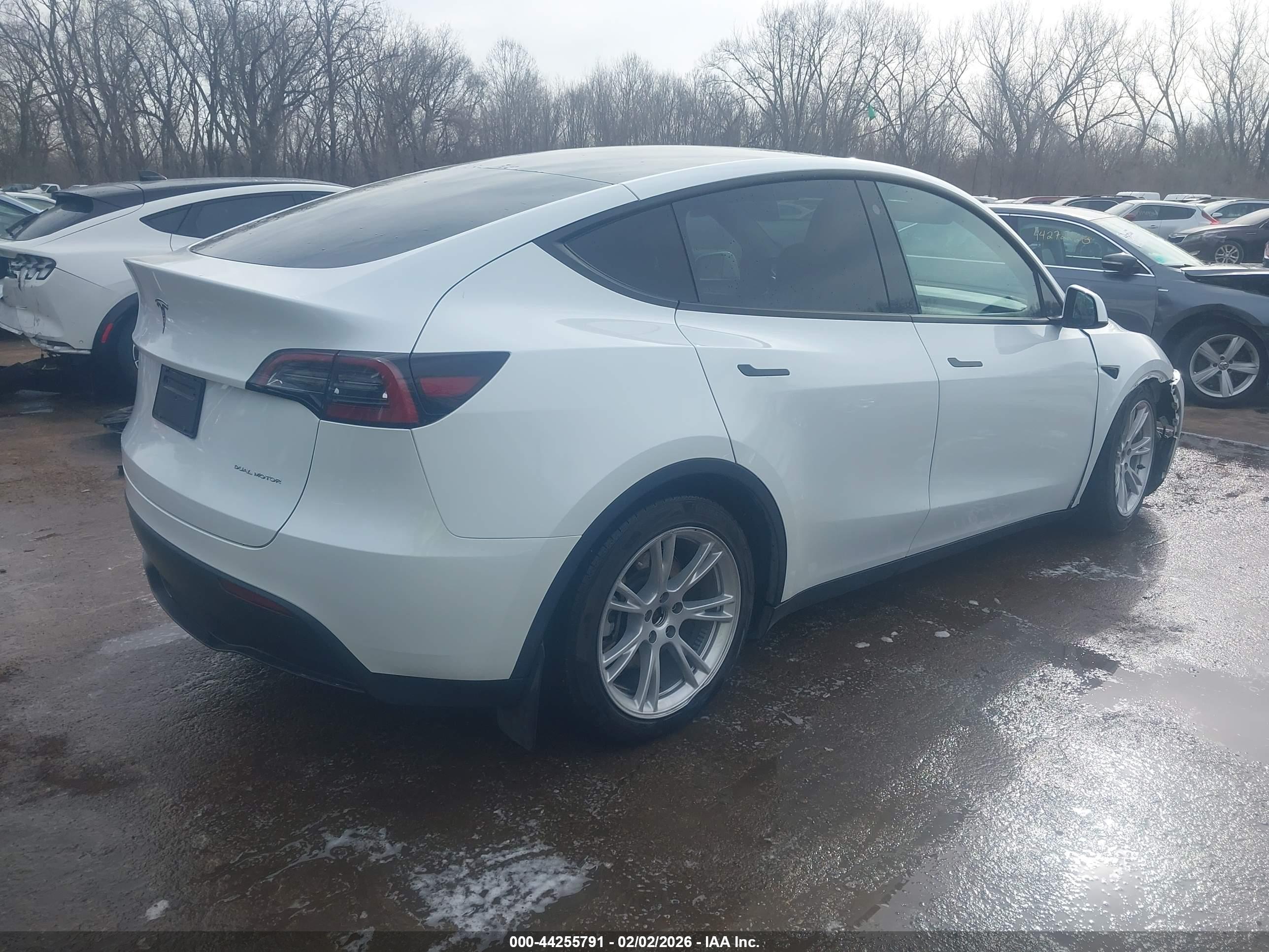 TESLA MODEL image 4
