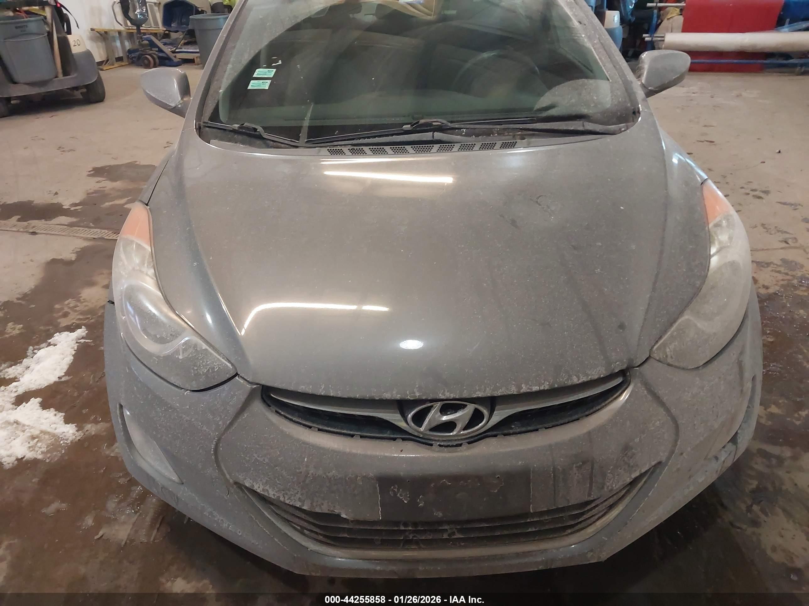 HYUNDAI ELANTRA image 6