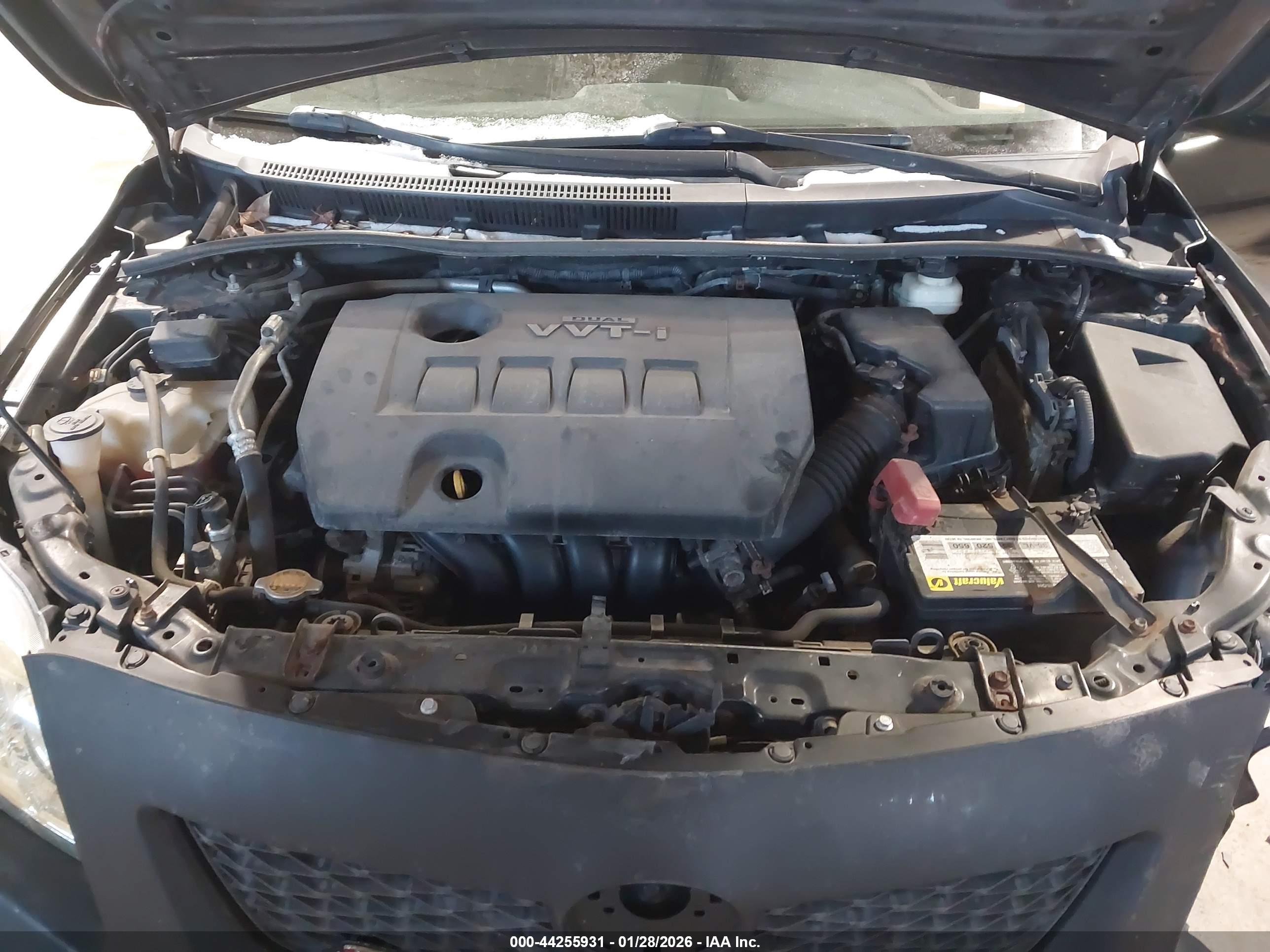 TOYOTA COROLLA image 10
