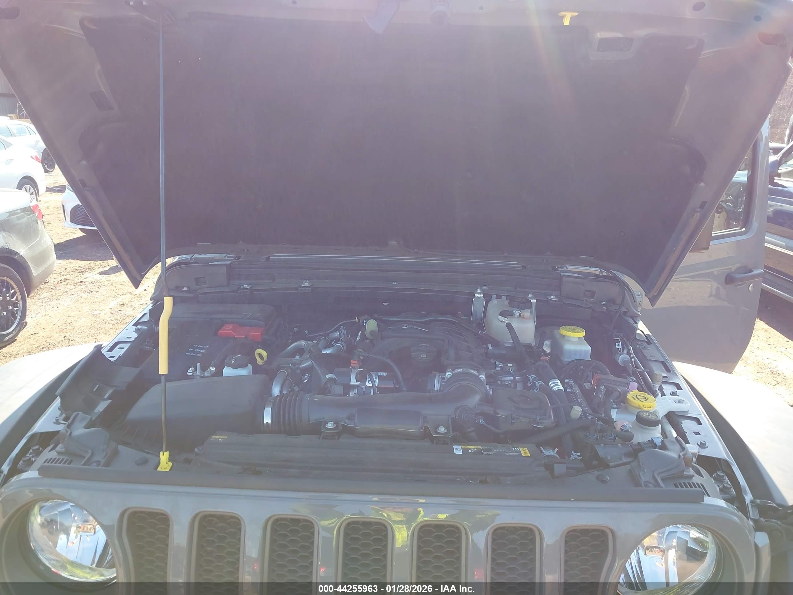 JEEP WRANGLER image 10