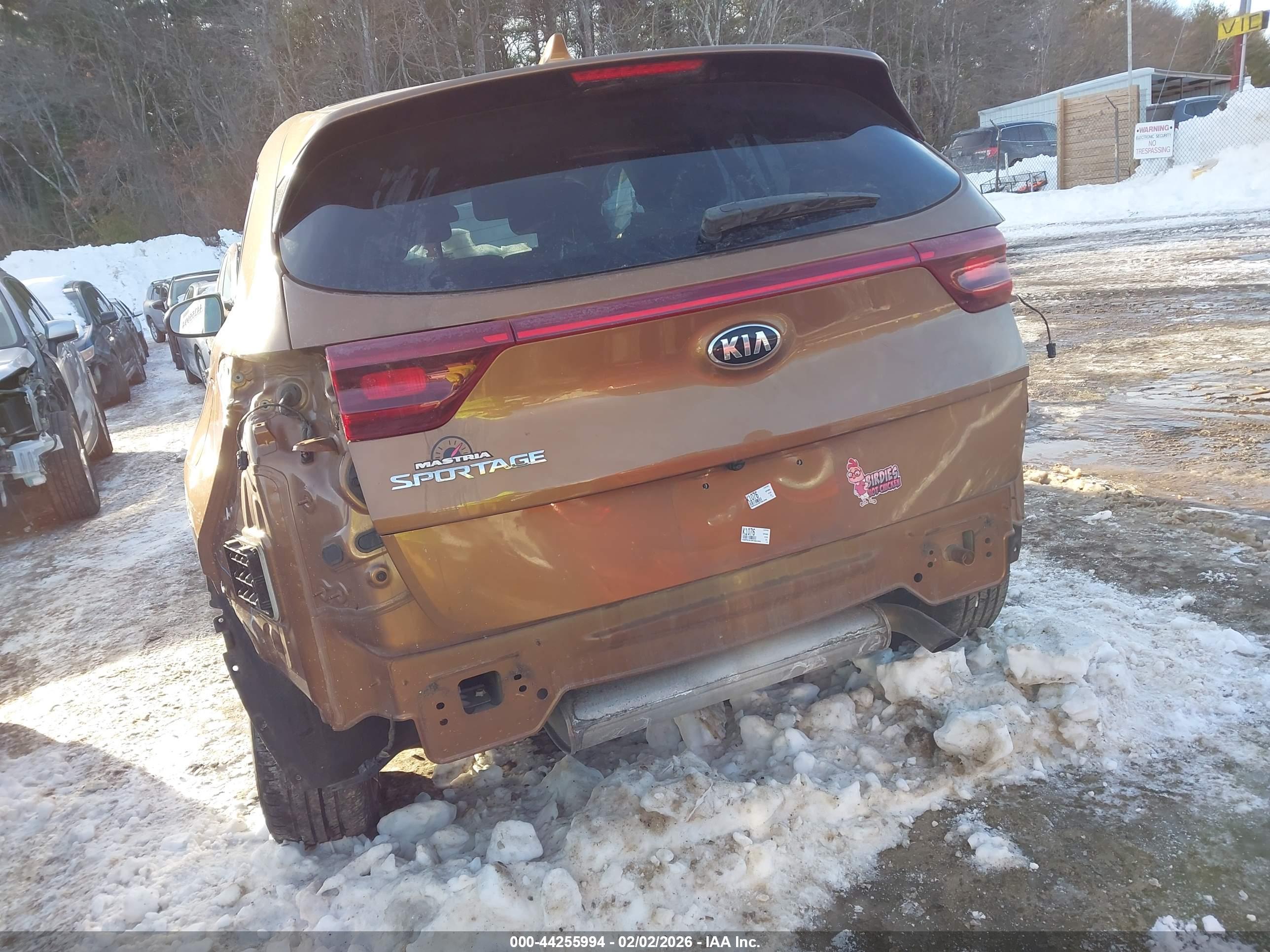 KIA SPORTAGE image 6