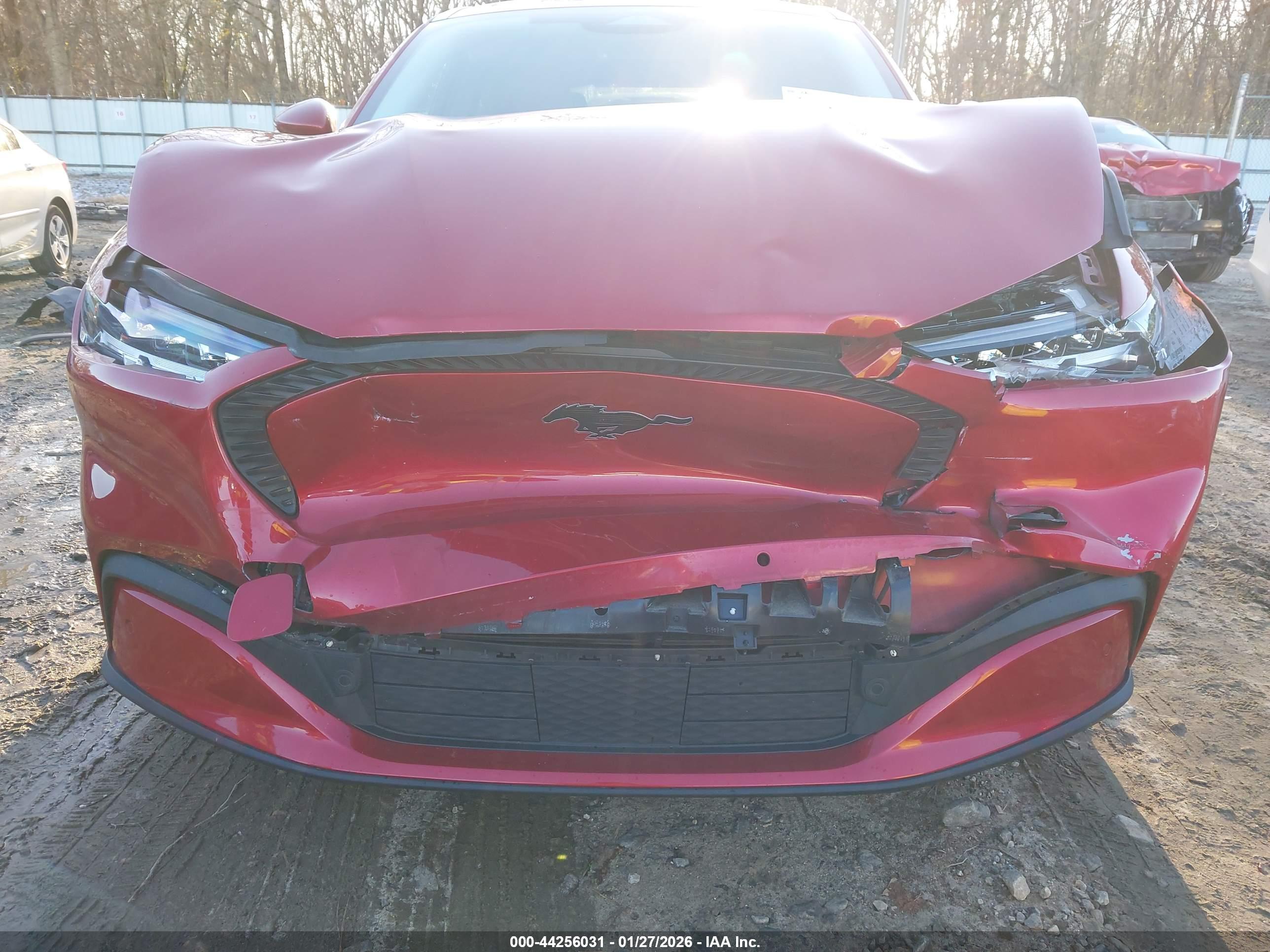 FORD MUSTANG image 6