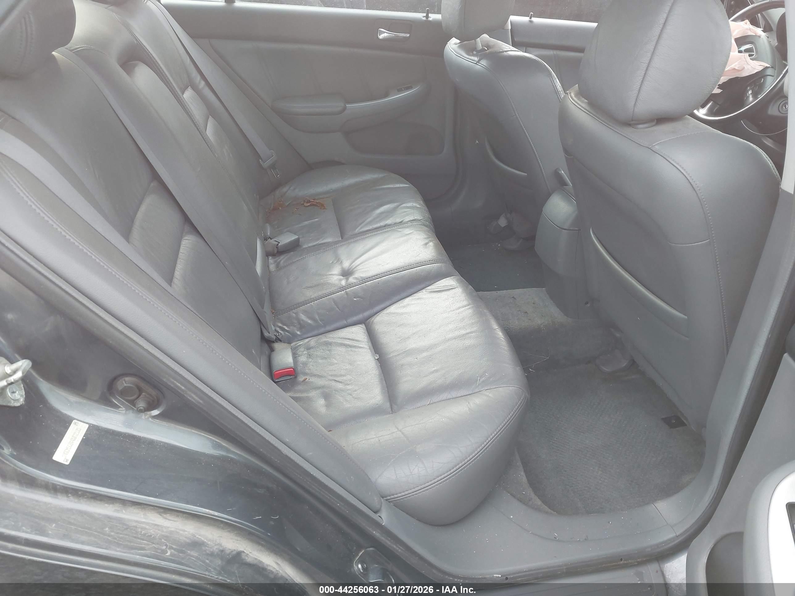 HONDA ACCORD image 8