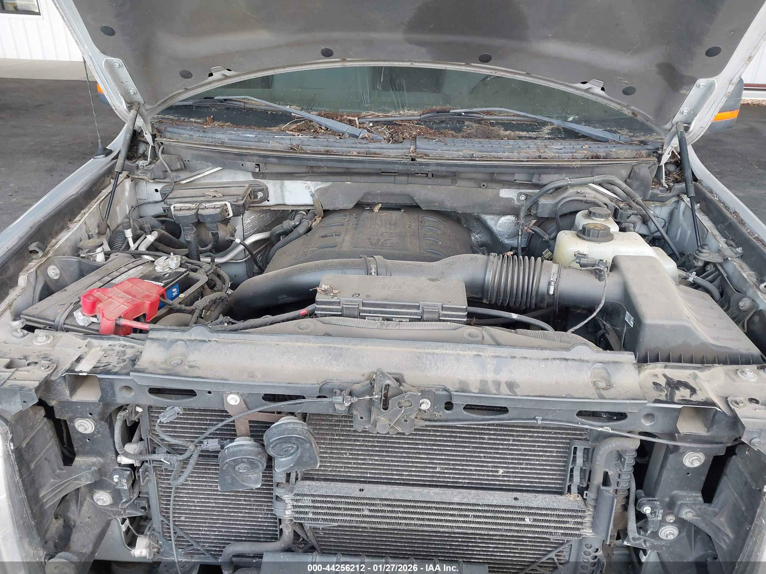 FORD F-150 image 10