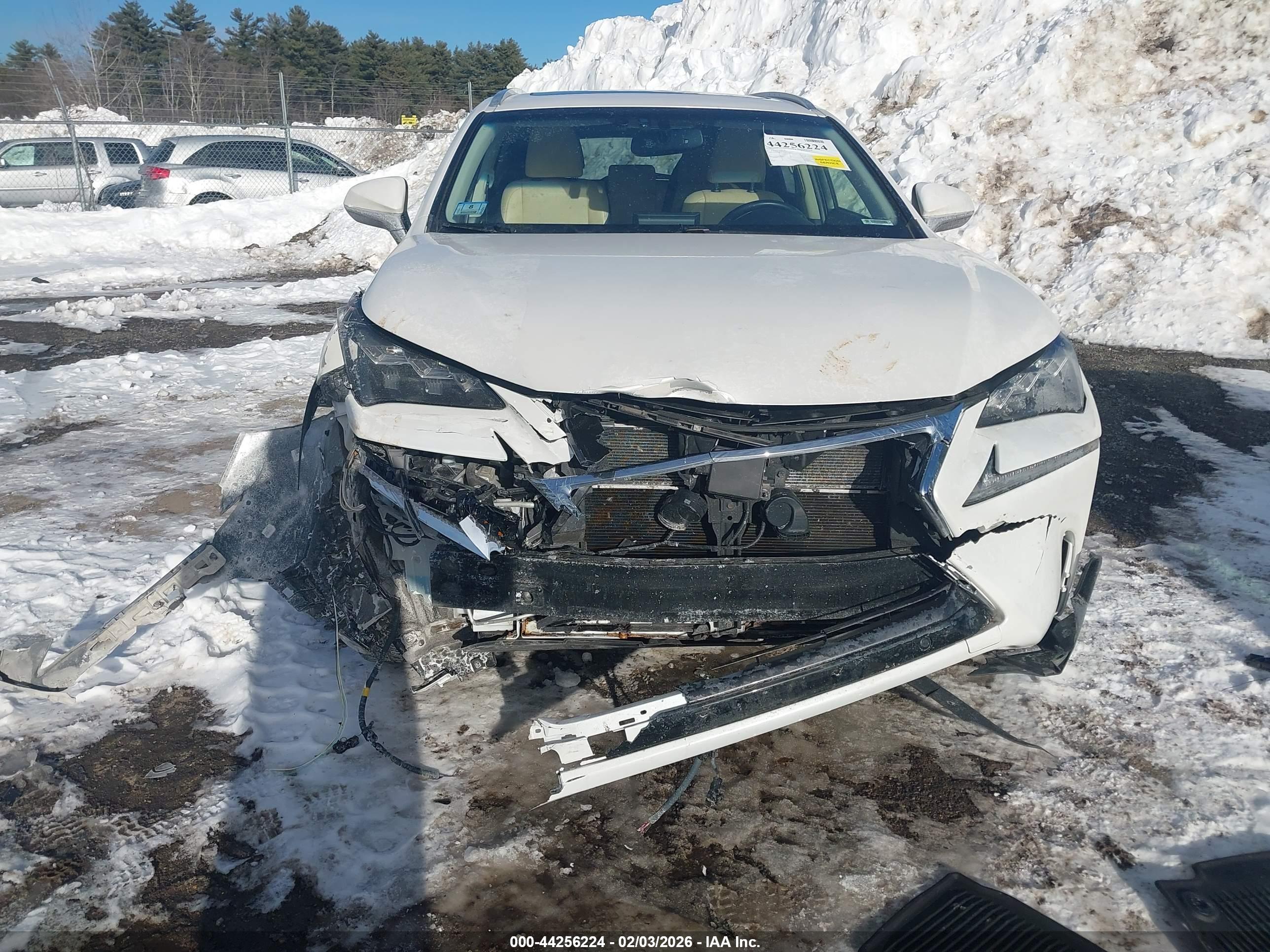 LEXUS NX image 6
