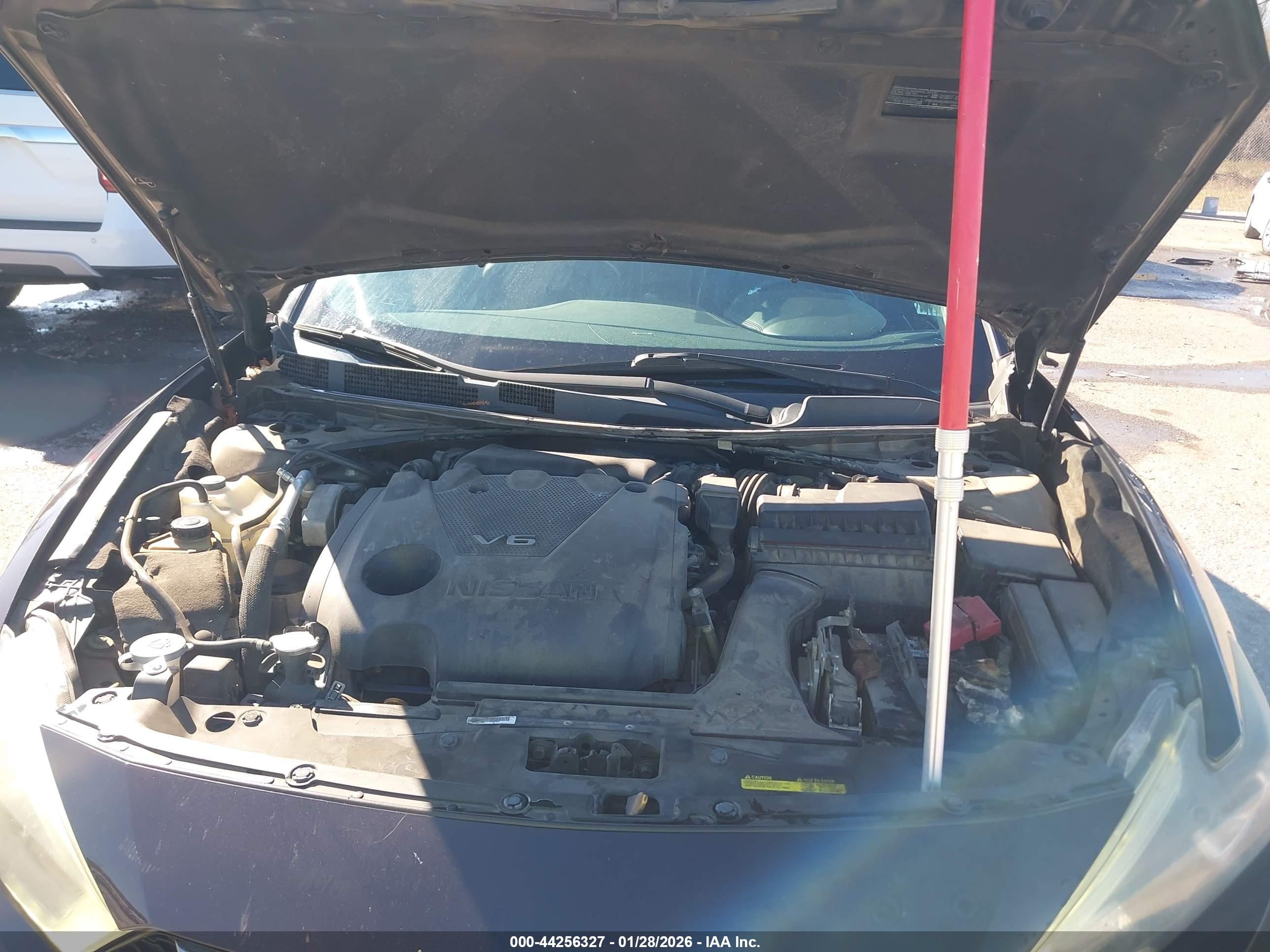 NISSAN MAXIMA image 10
