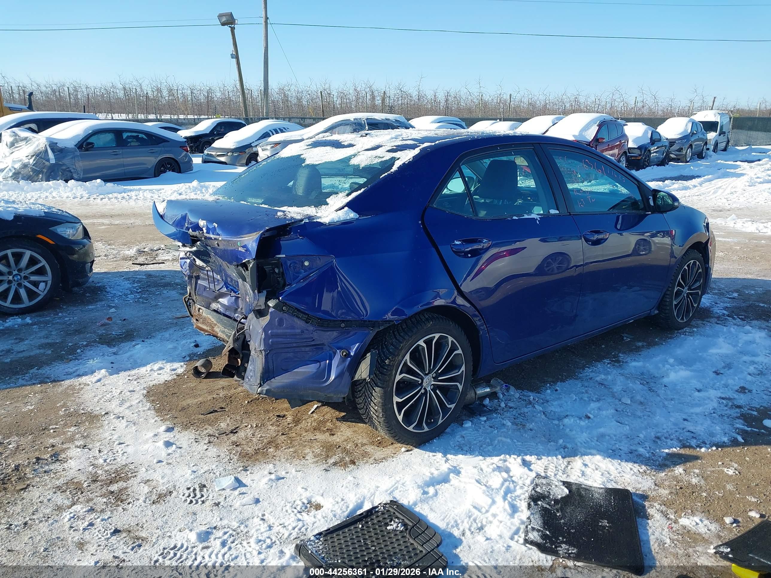 TOYOTA COROLLA image 4