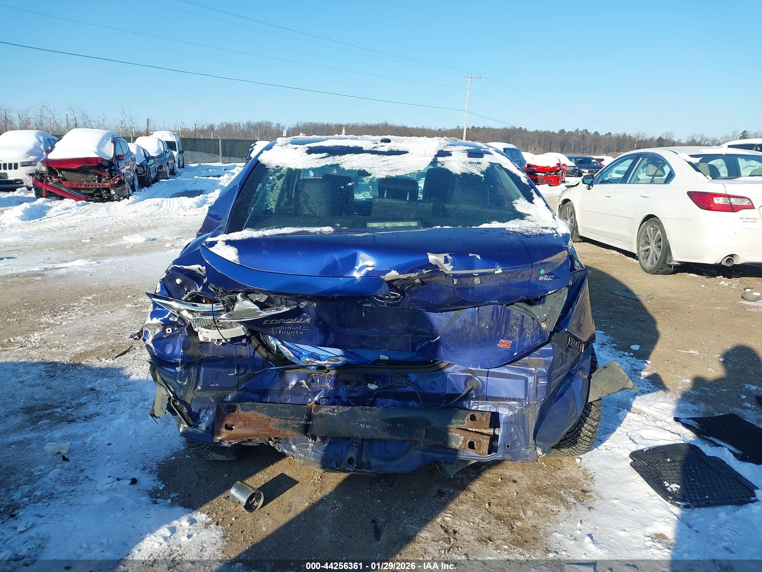 TOYOTA COROLLA image 6