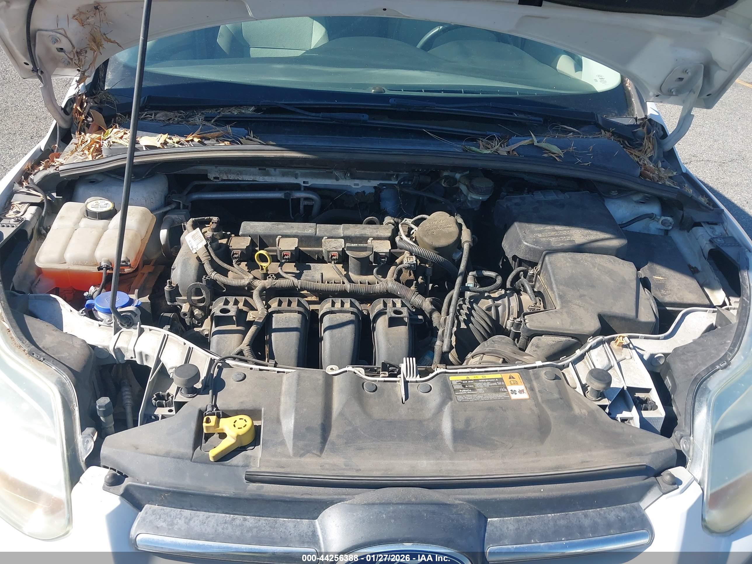 FORD FOCUS image 10