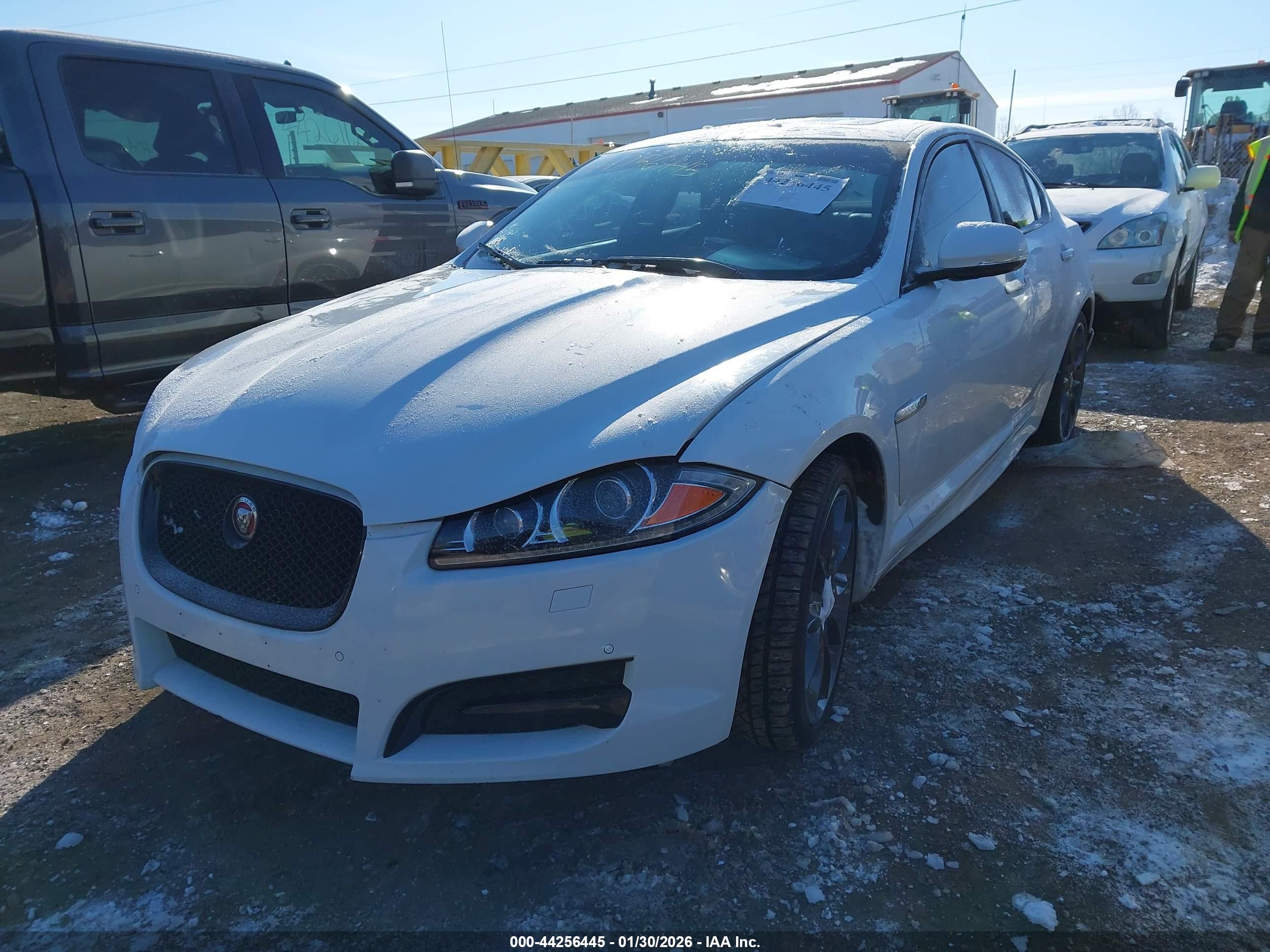 JAGUAR XF image 2