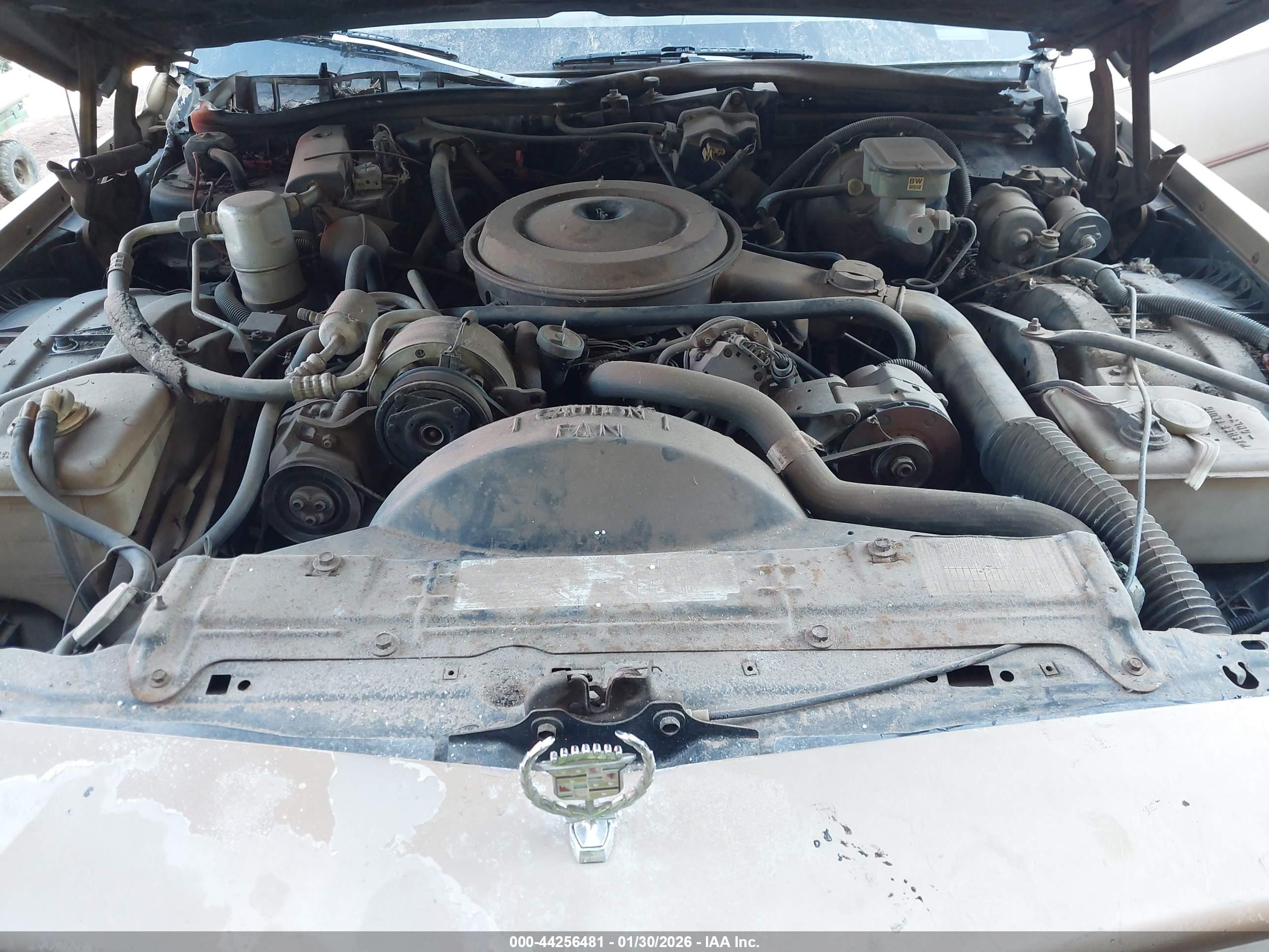 CADILLAC BROUGHAM image 10