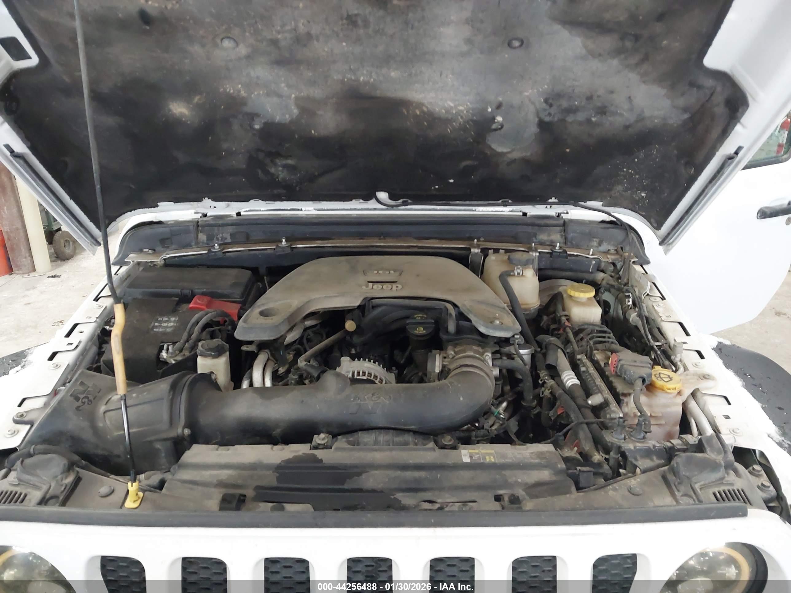 JEEP WRANGLER image 10
