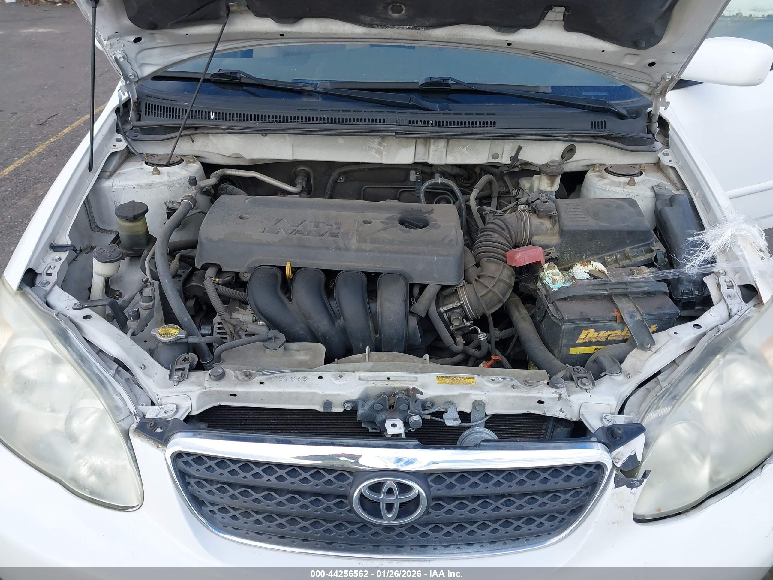 TOYOTA COROLLA image 10