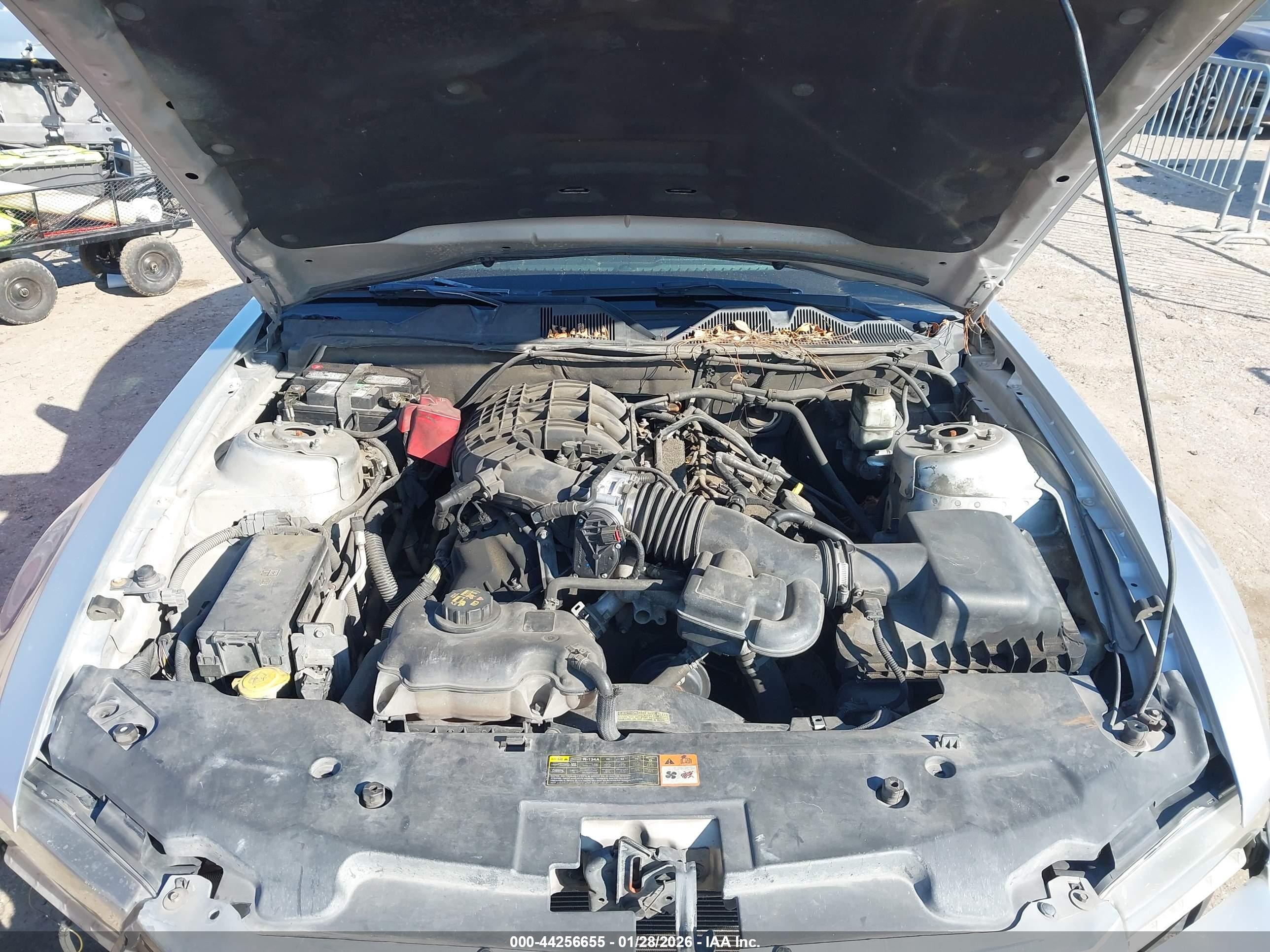 FORD MUSTANG image 10