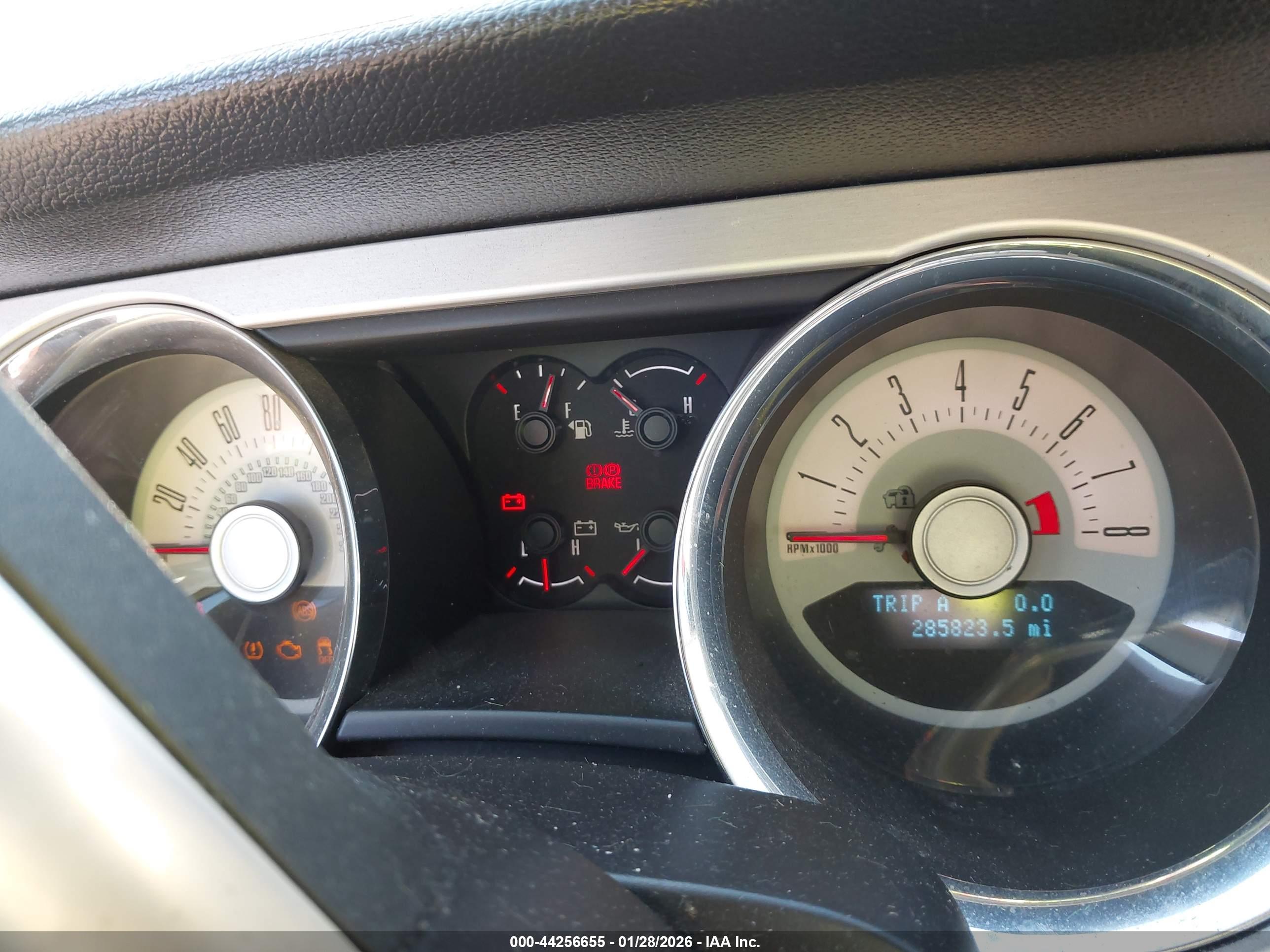 FORD MUSTANG image 7