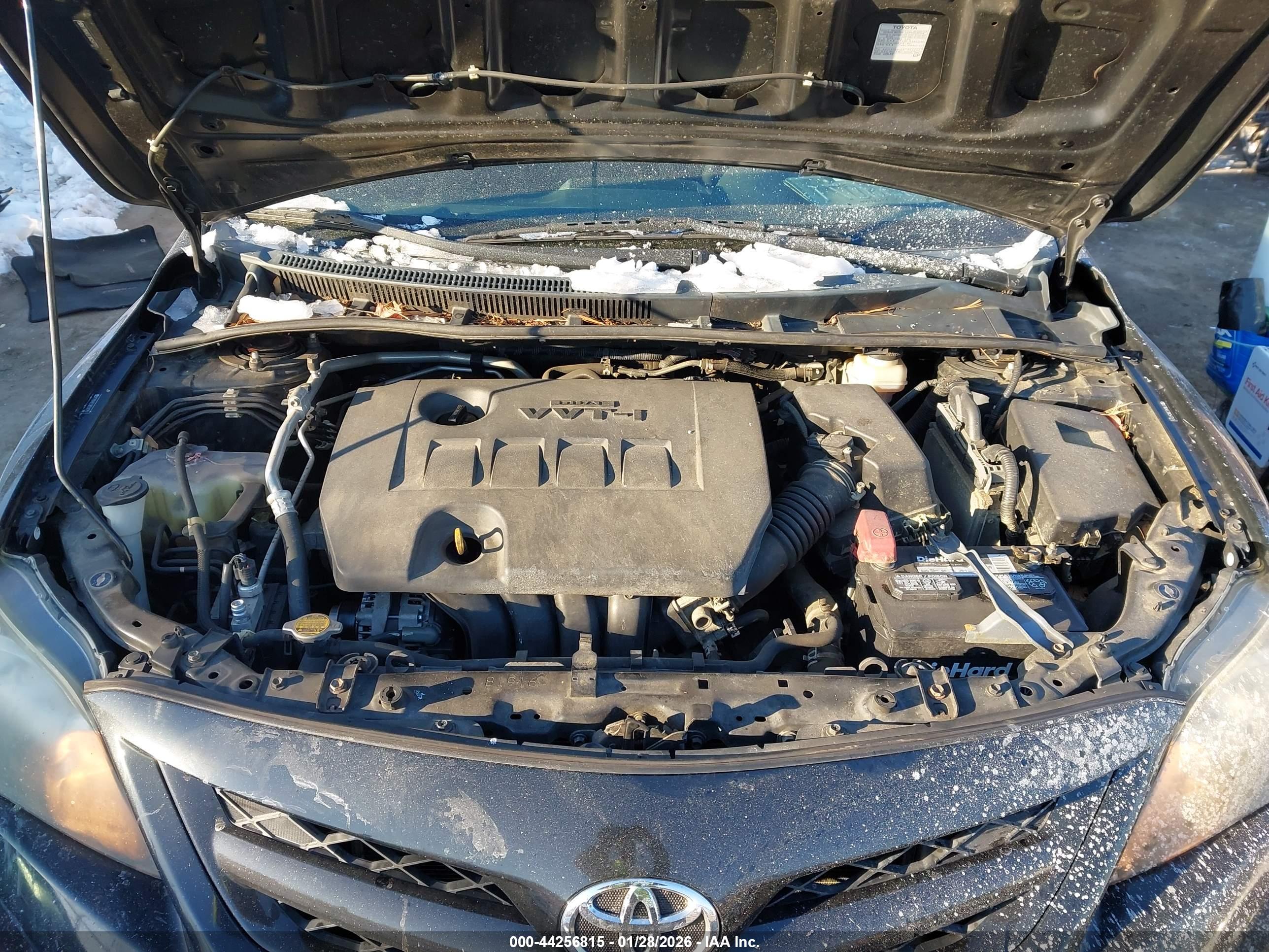 TOYOTA COROLLA image 10