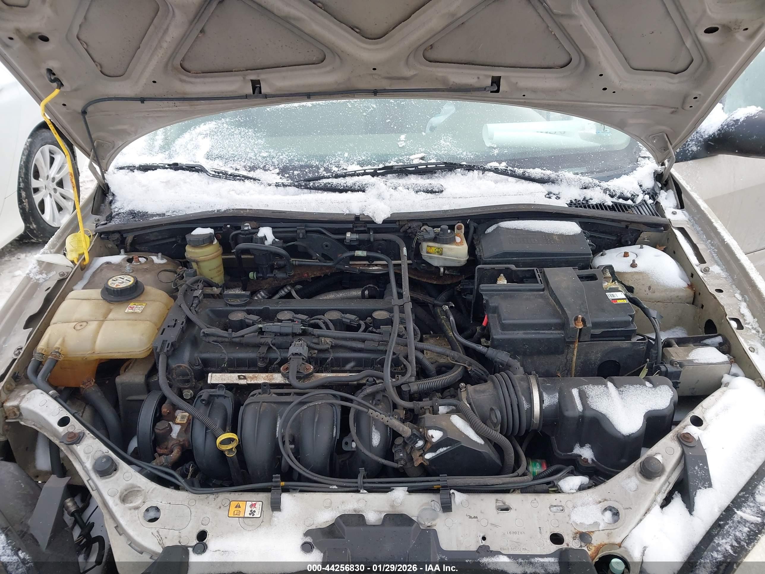 FORD FOCUS image 10