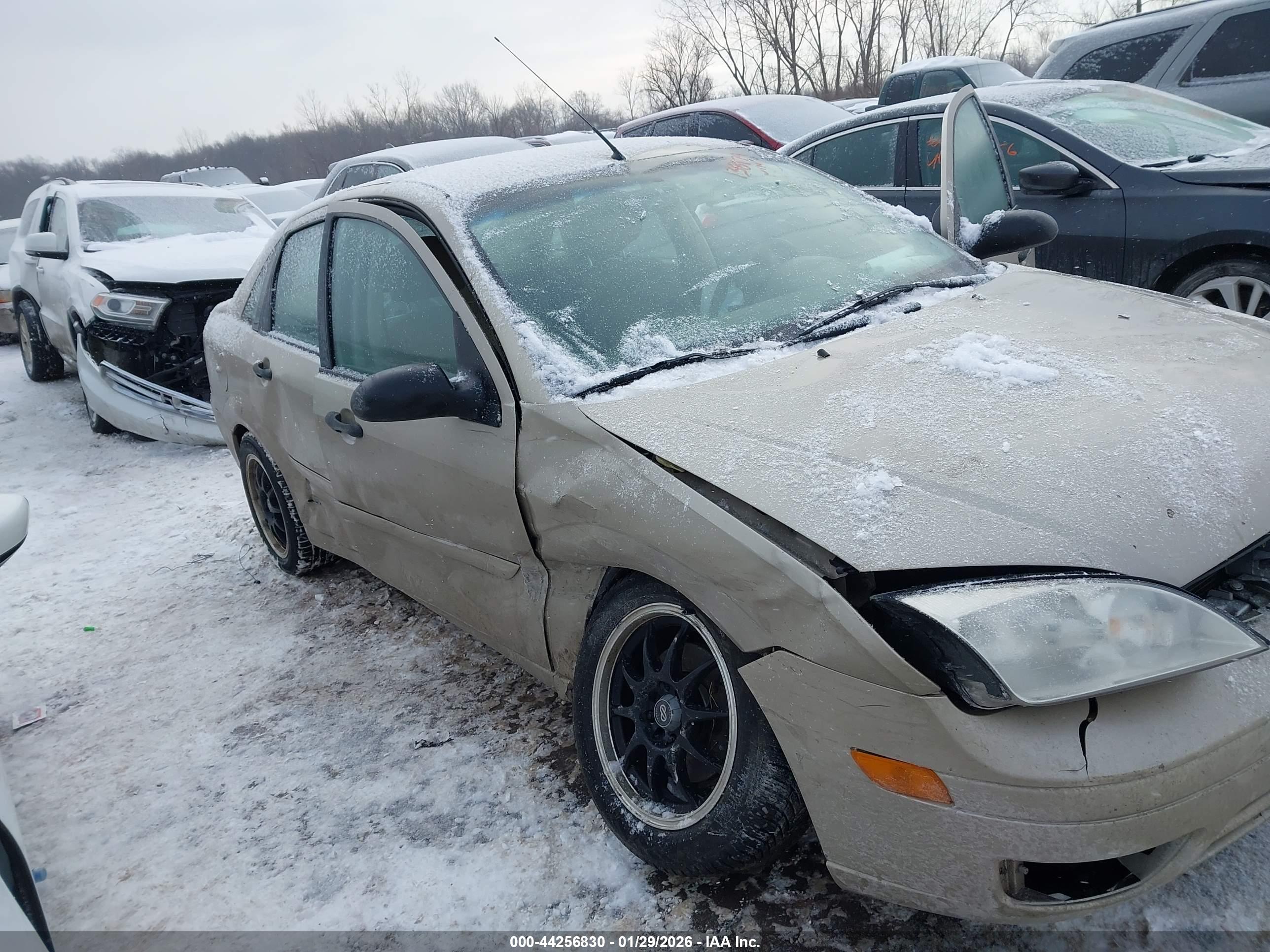 FORD FOCUS image 6