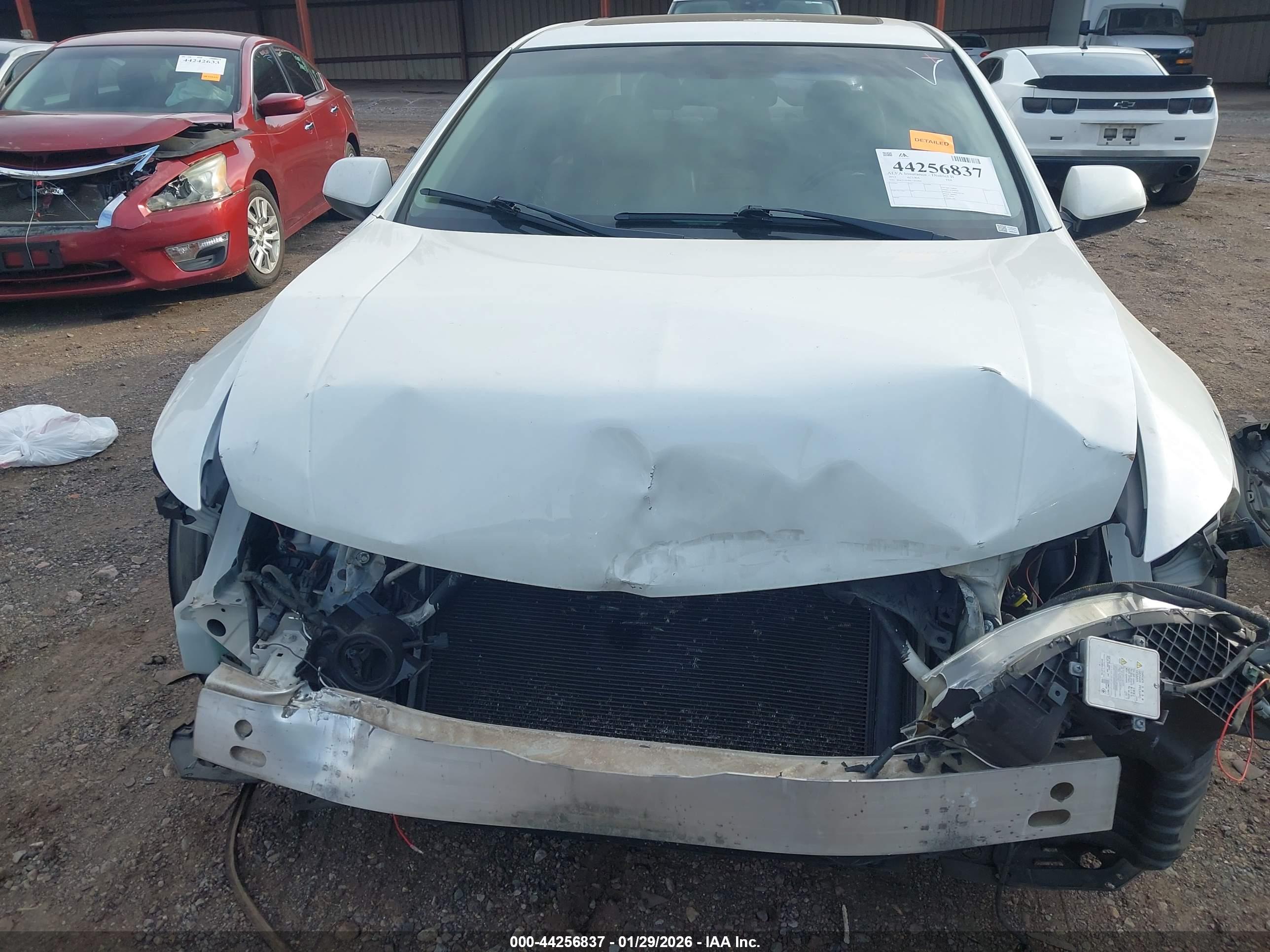ACURA TSX image 6