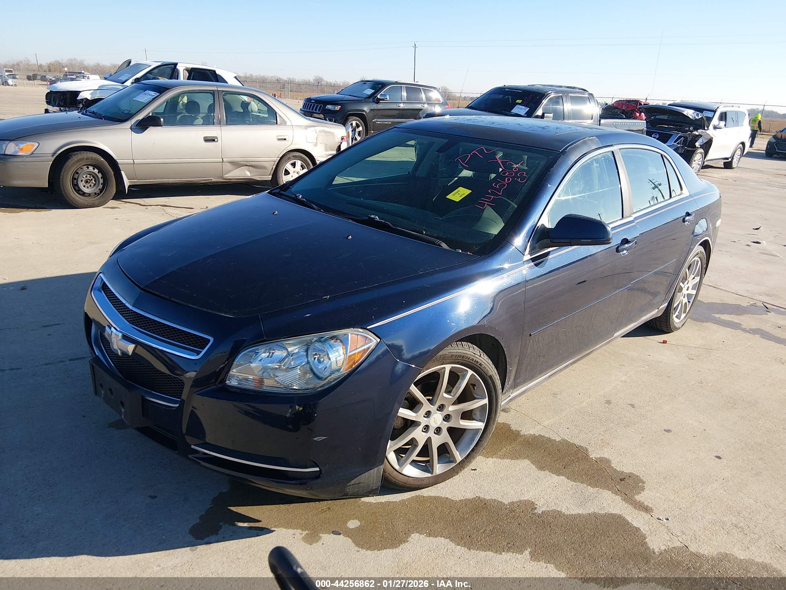 CHEVROLET MALIBU image 2