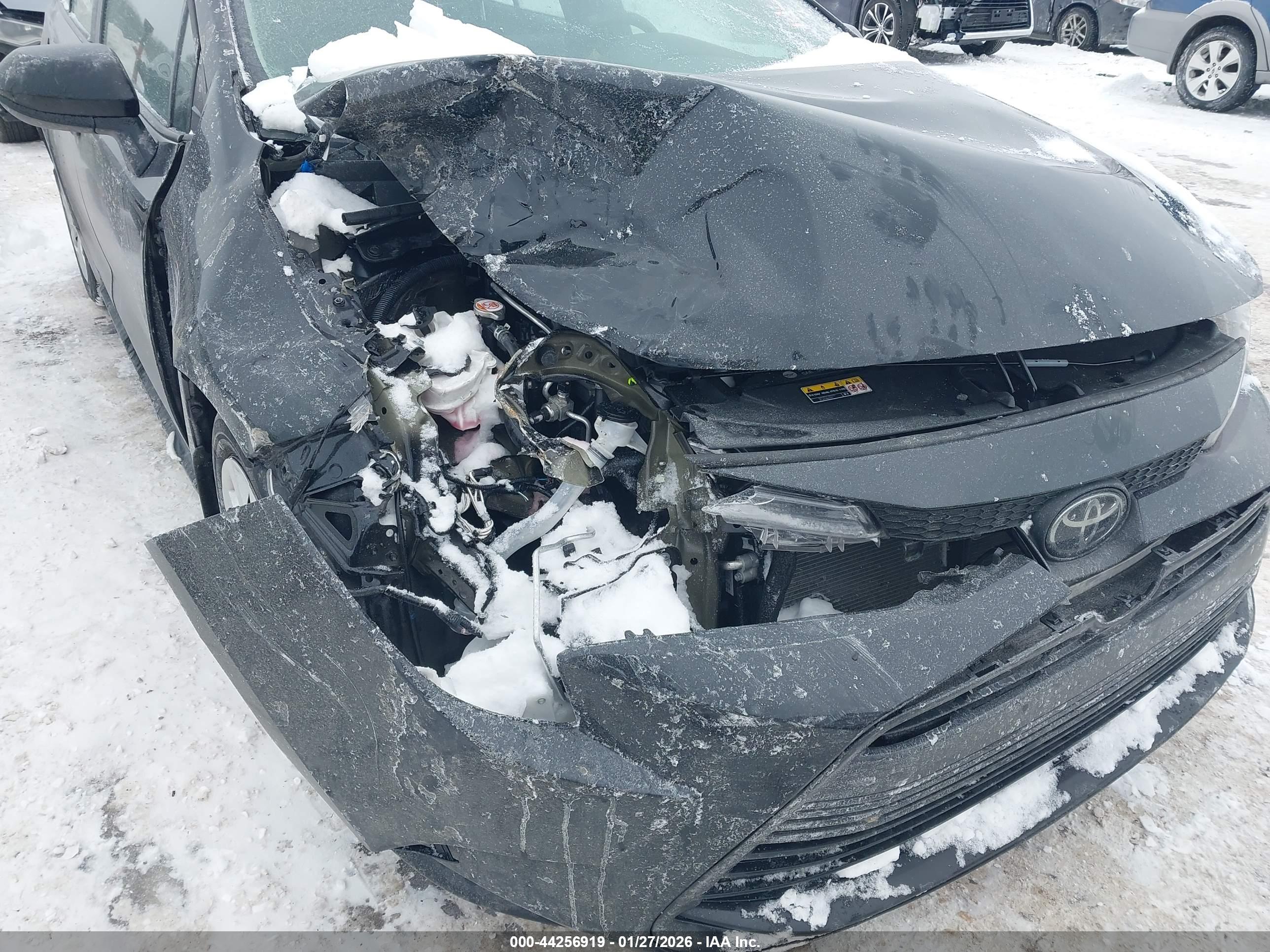 TOYOTA COROLLA image 6