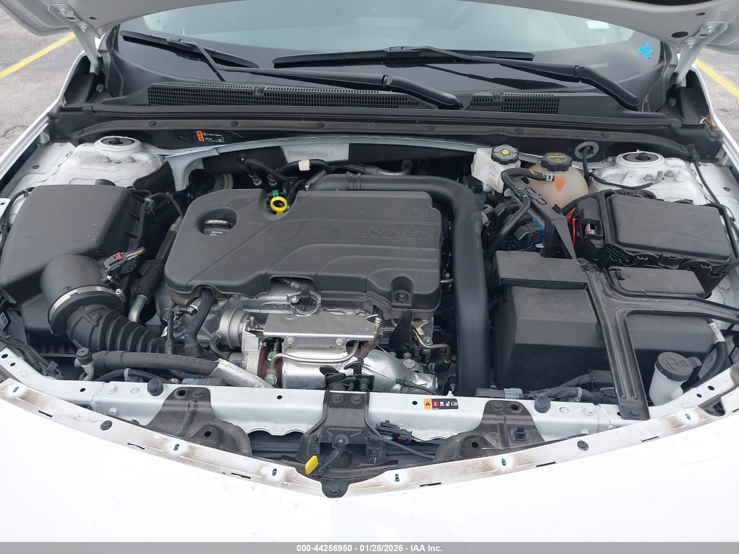 CHEVROLET MALIBU image 10