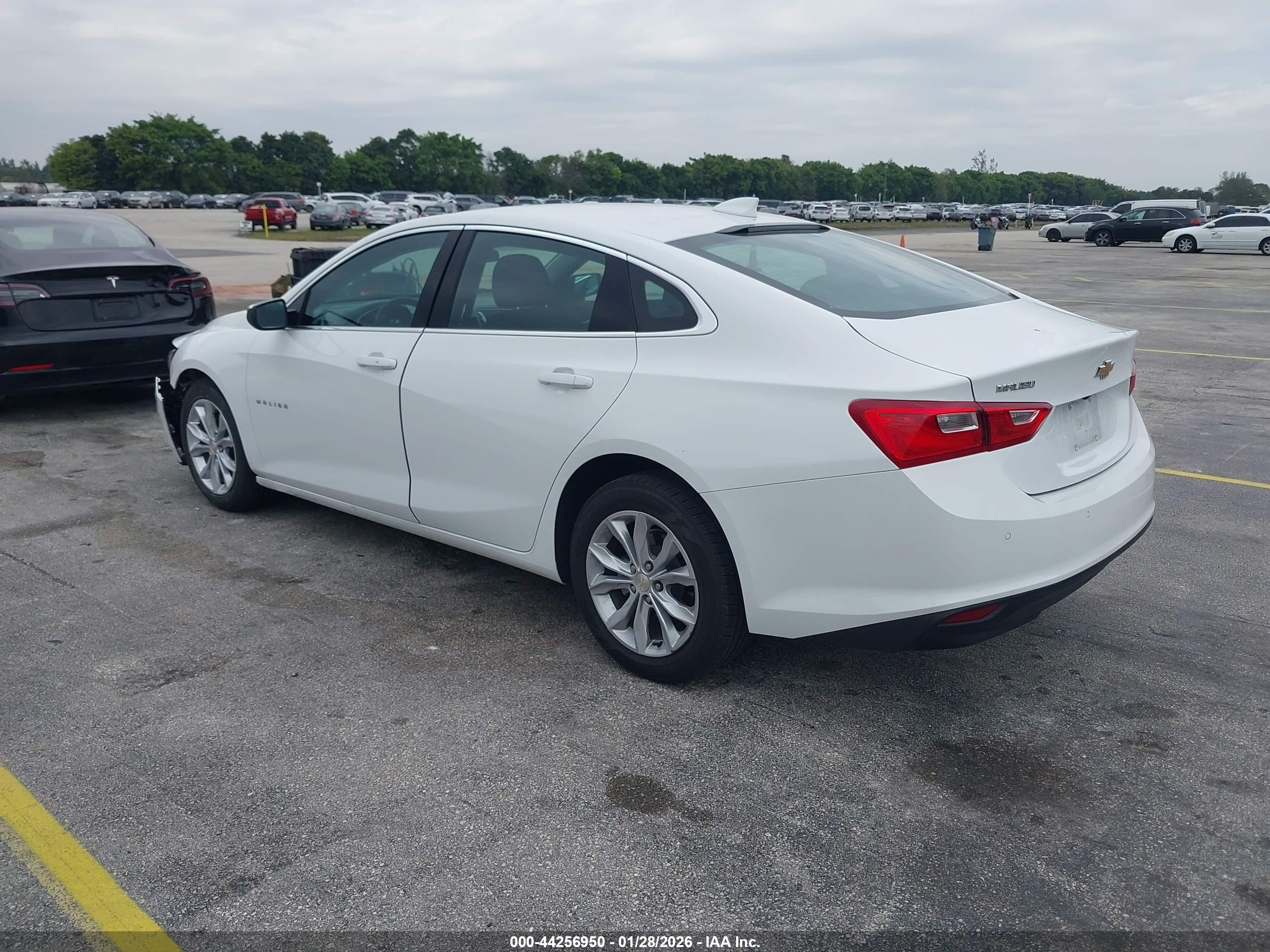 CHEVROLET MALIBU image 3