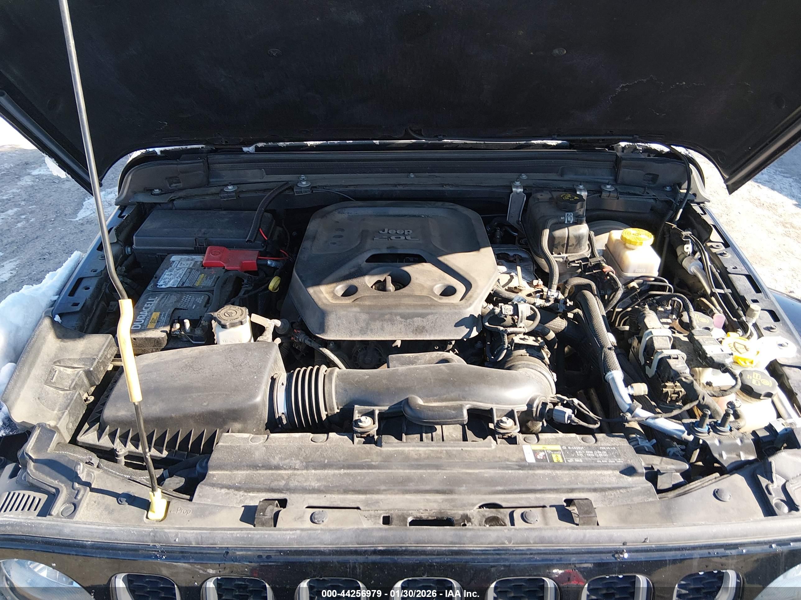 JEEP WRANGLER image 10