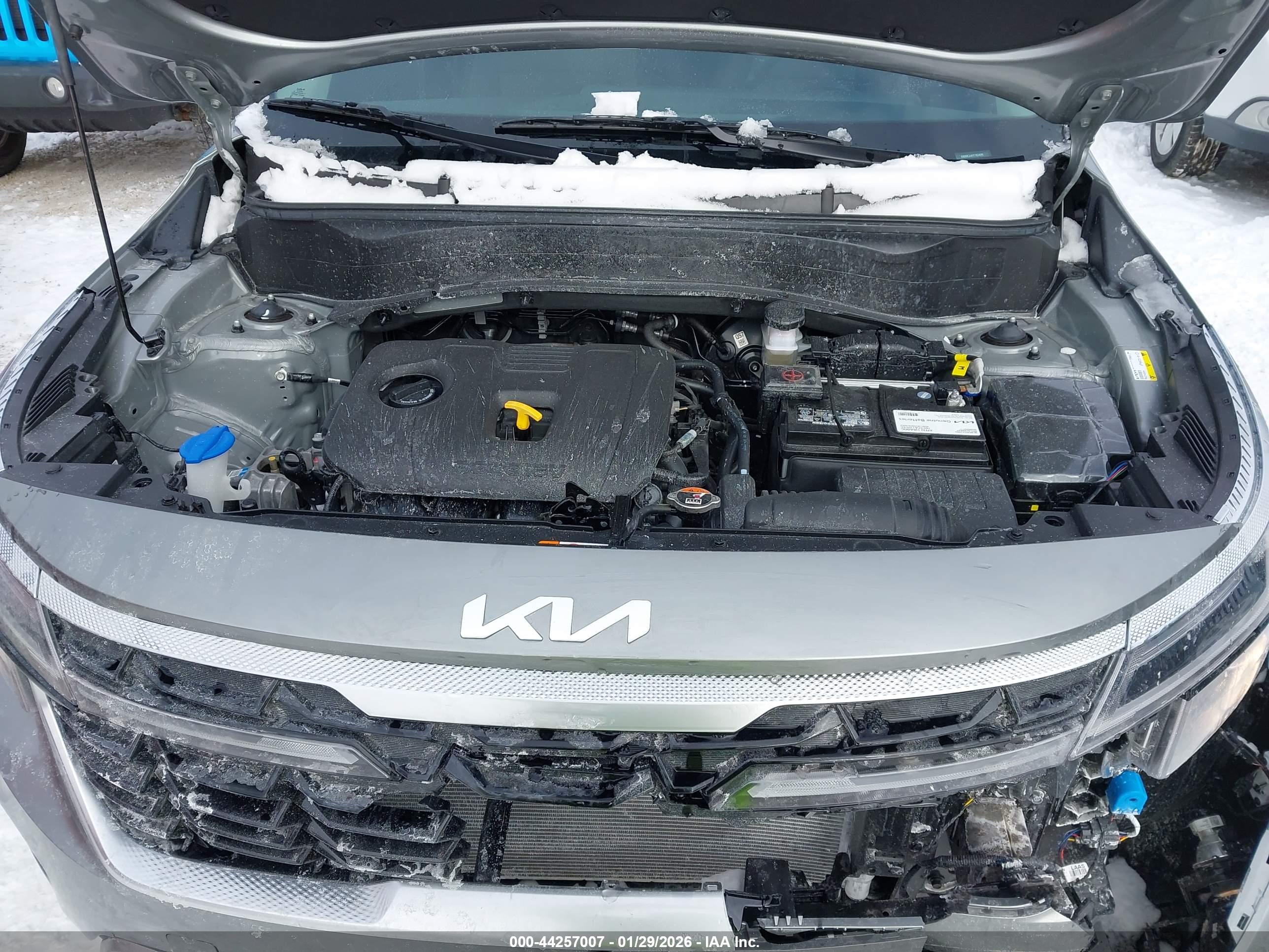 KIA SELTOS image 10