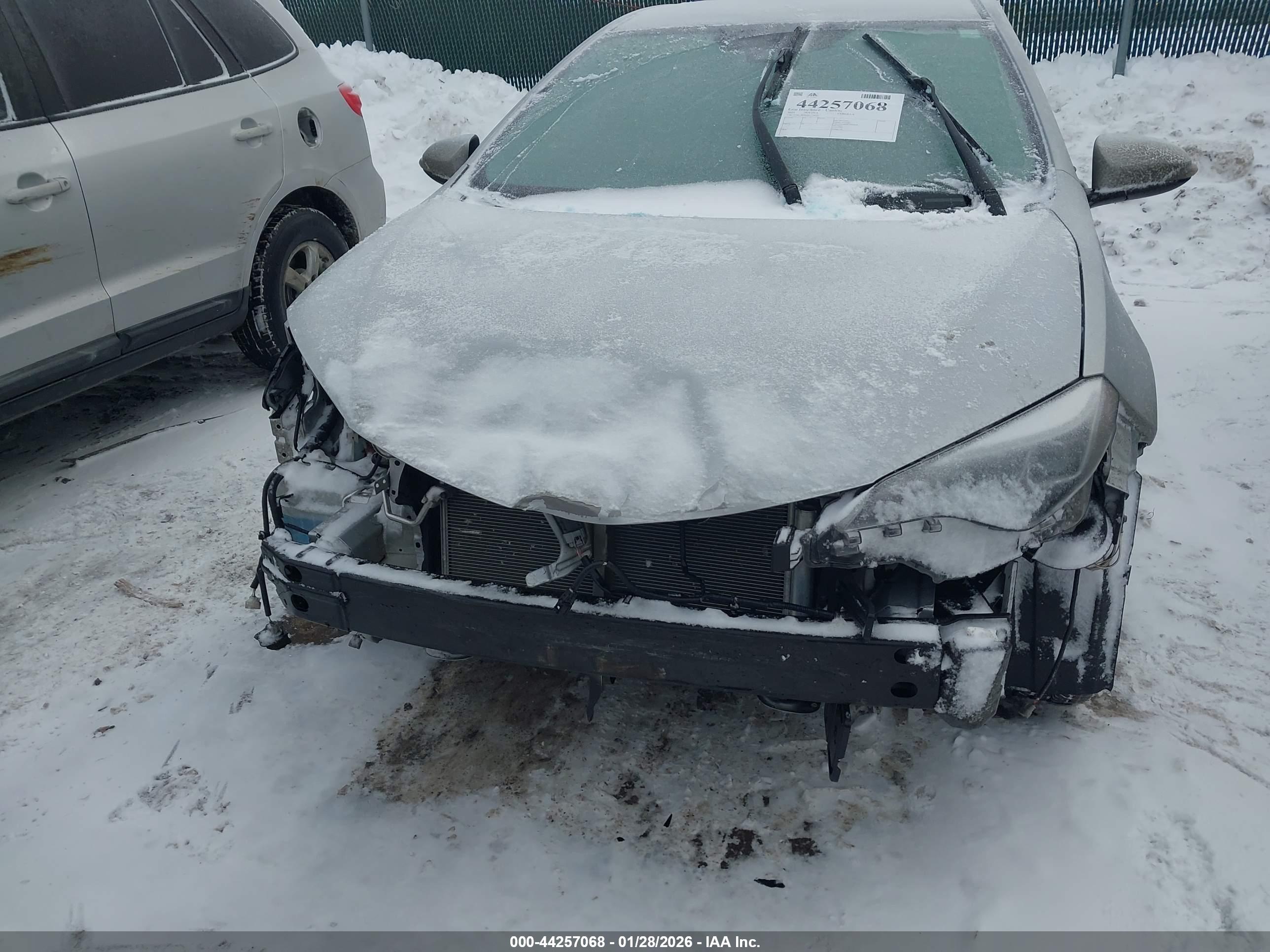 TOYOTA COROLLA image 6