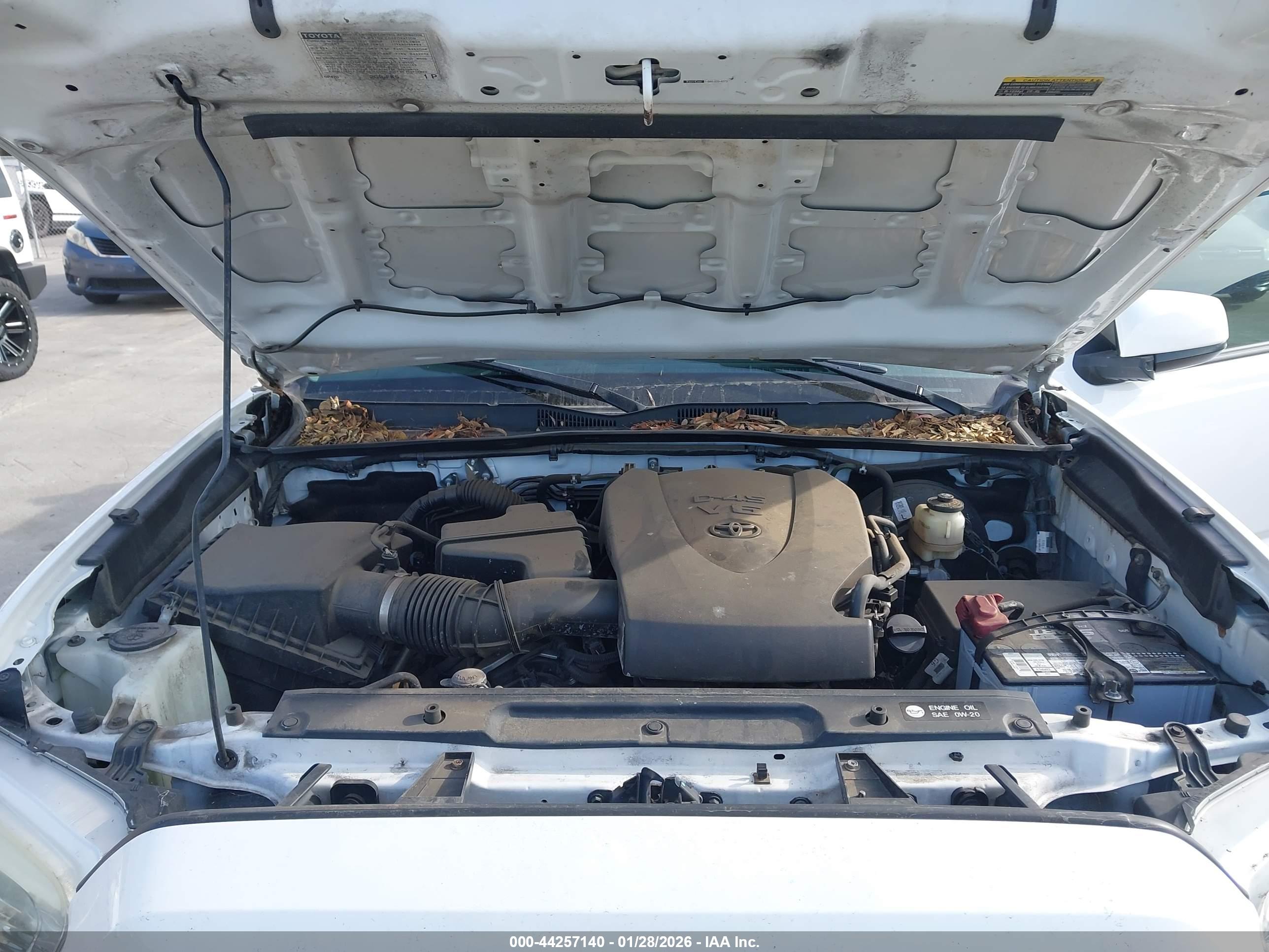 TOYOTA TACOMA image 10