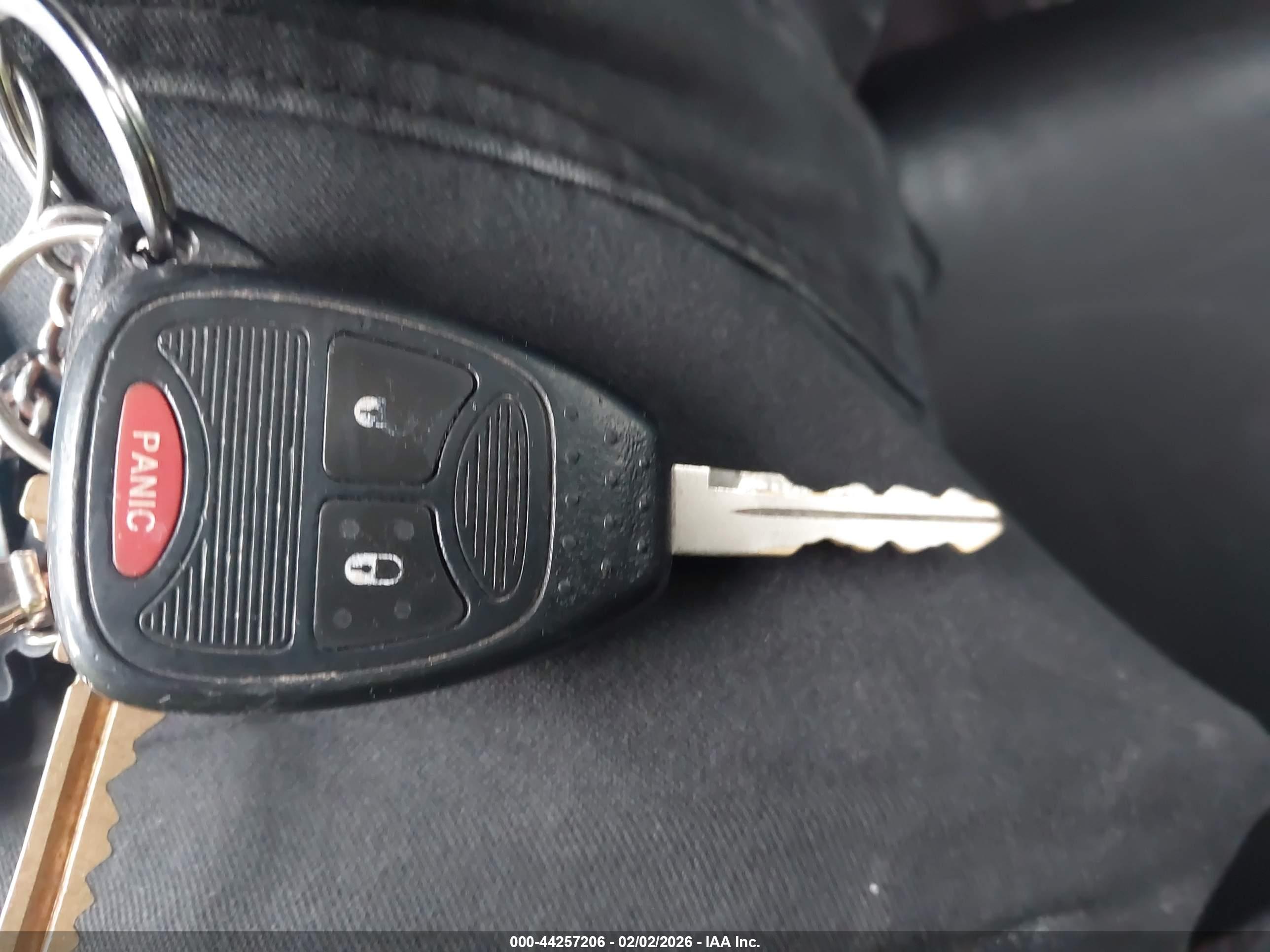 JEEP WRANGLER image 11