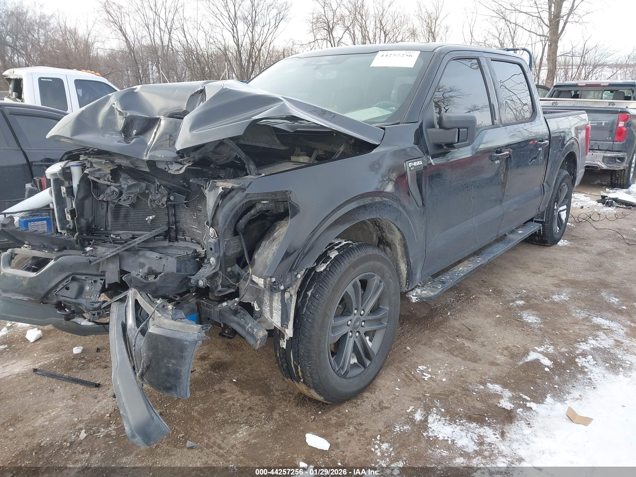 FORD F-150 image 2